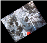 Jmse 07 00178 i006 Jmse 07 00178 i006