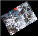 Jmse 07 00178 i007 Jmse 07 00178 i007