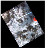 Jmse 07 00178 i008 Jmse 07 00178 i008