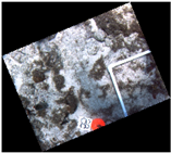 Jmse 07 00178 i009 Jmse 07 00178 i009