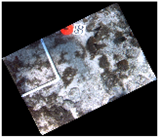 Jmse 07 00178 i010 Jmse 07 00178 i010