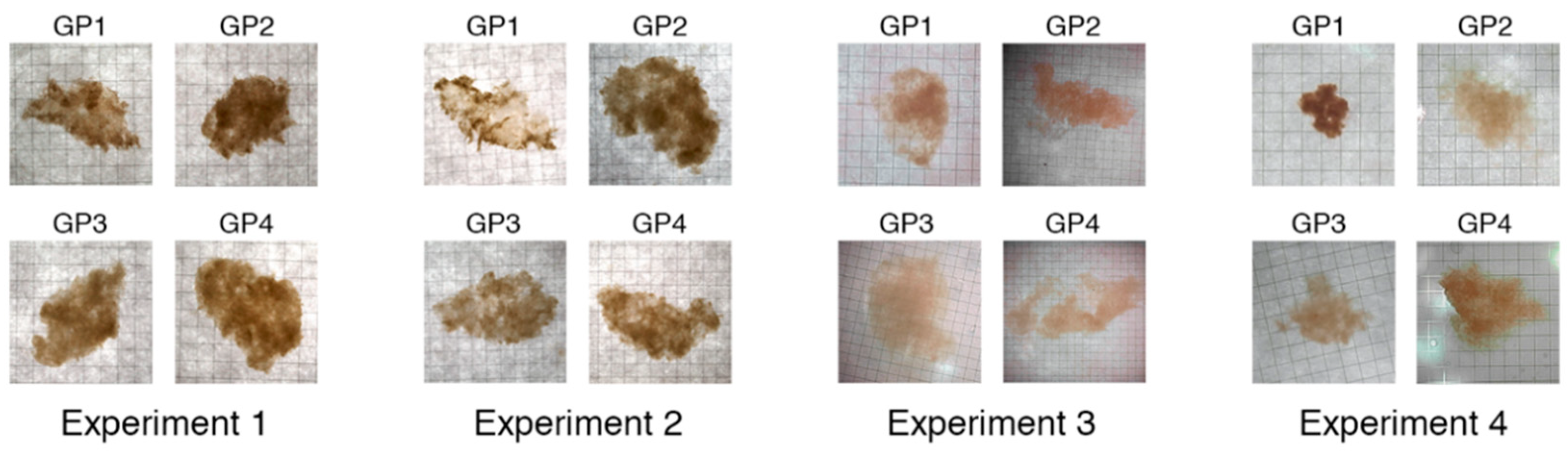 Jmse 07 00265 g002 Jmse 07 00265 g002