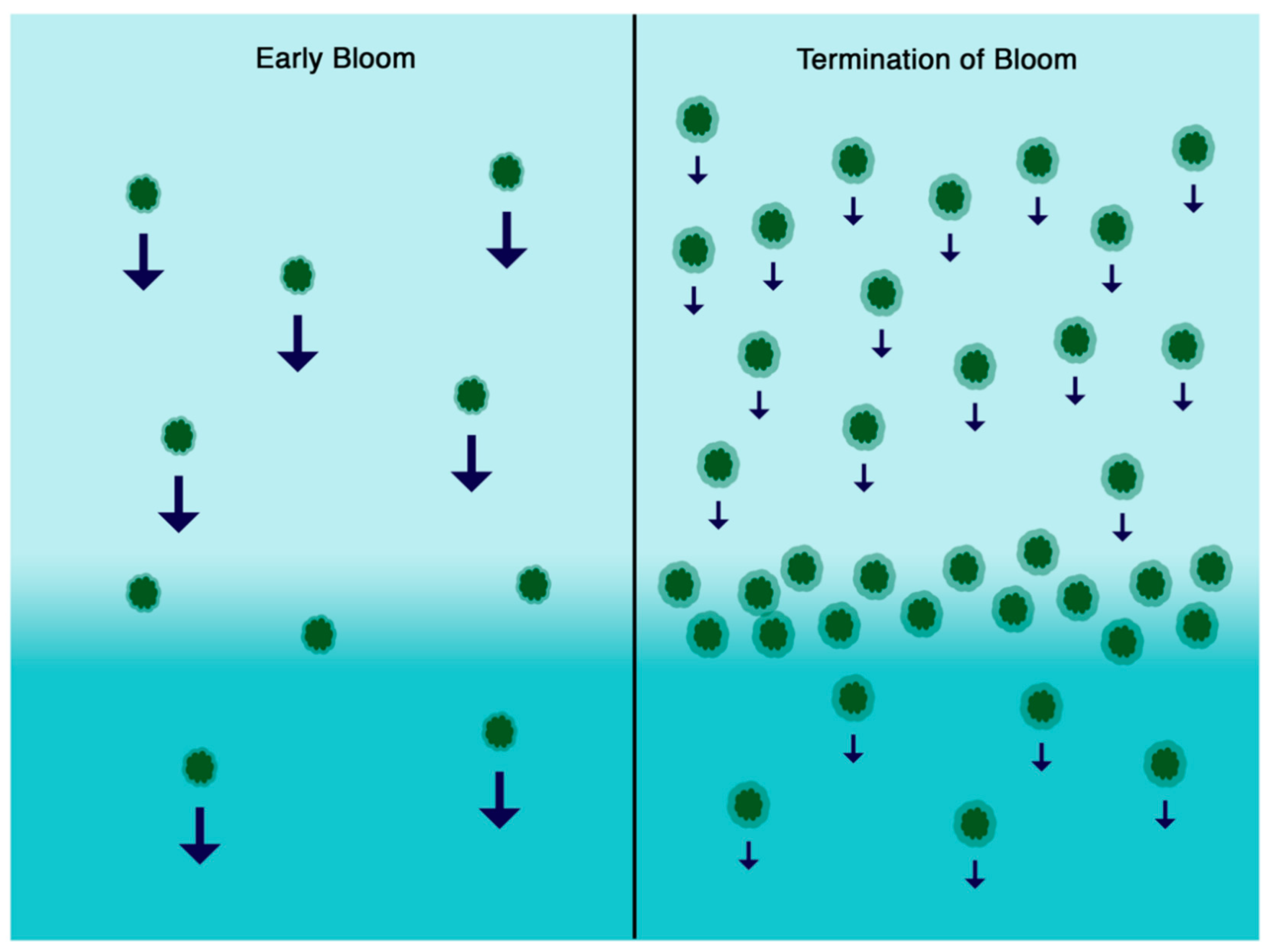 Jmse 07 00265 g007 Jmse 07 00265 g007