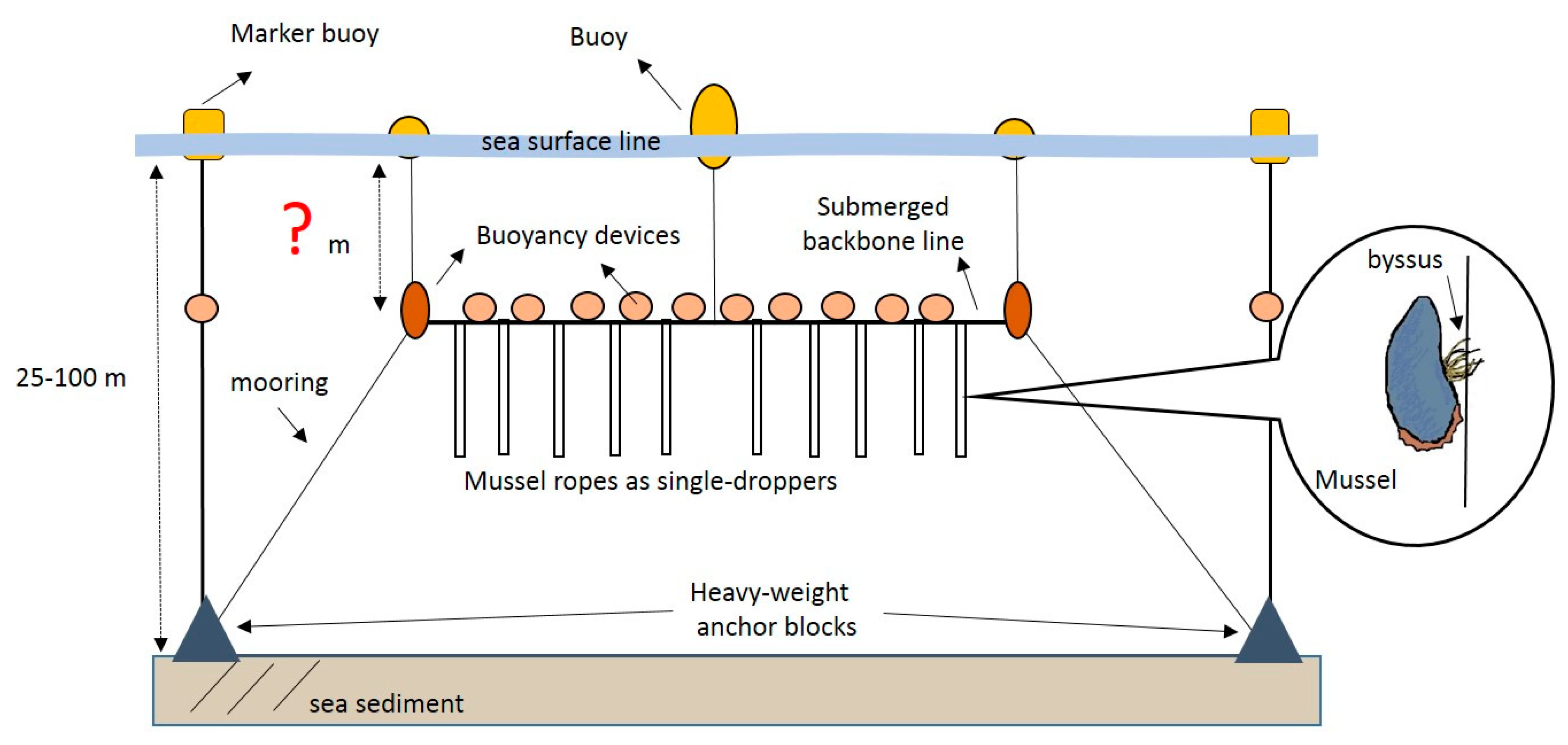 Jmse 07 00293 g001 Jmse 07 00293 g001