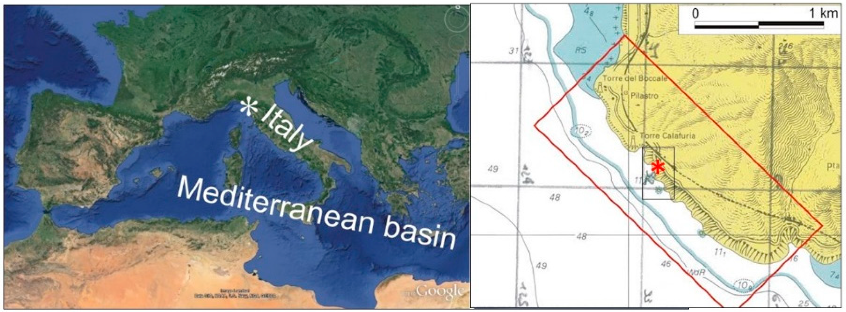 Jmse 07 00315 g001 Jmse 07 00315 g001