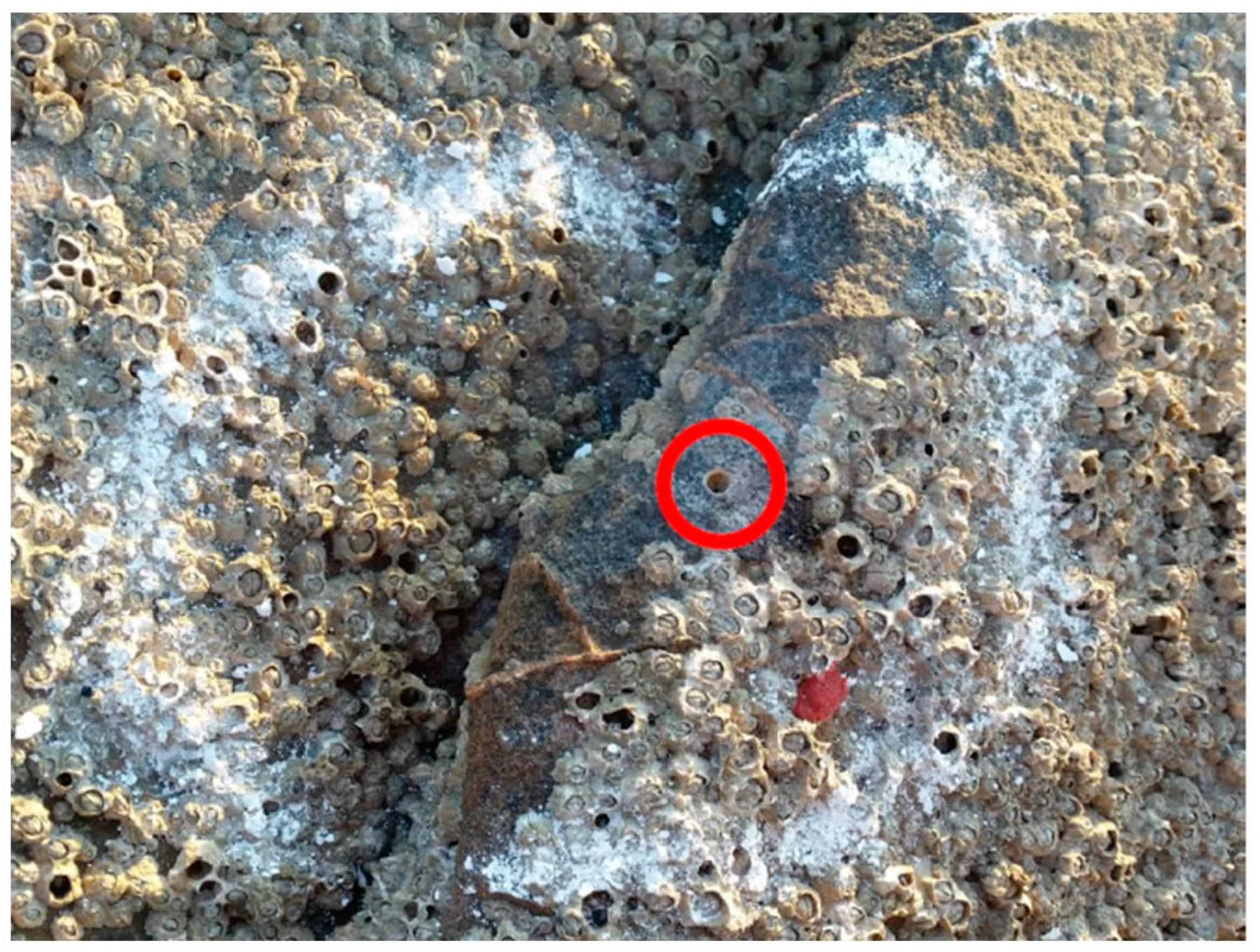 Jmse 07 00315 g006 Jmse 07 00315 g006