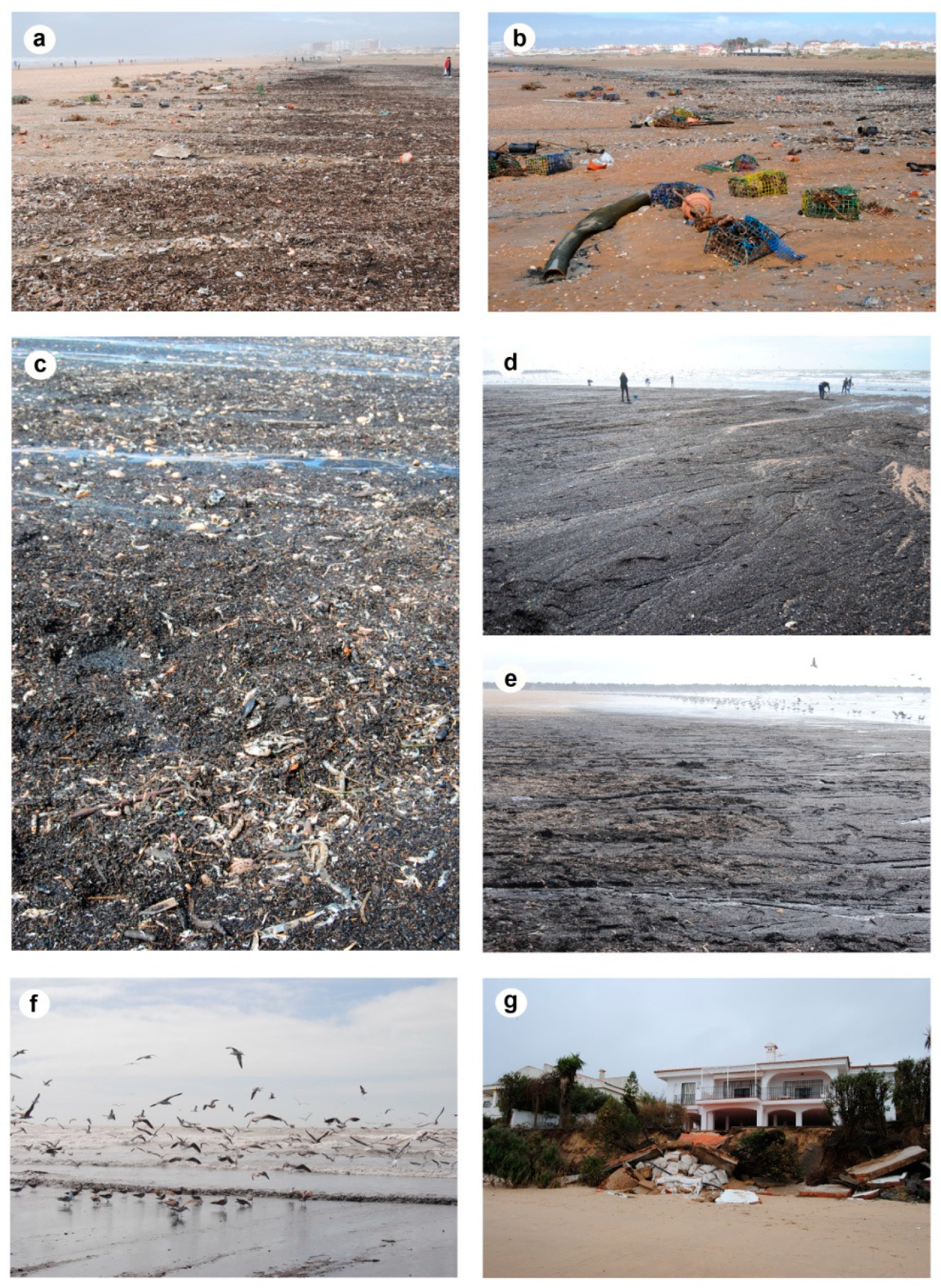 Jmse 07 00344 g002 Jmse 07 00344 g002