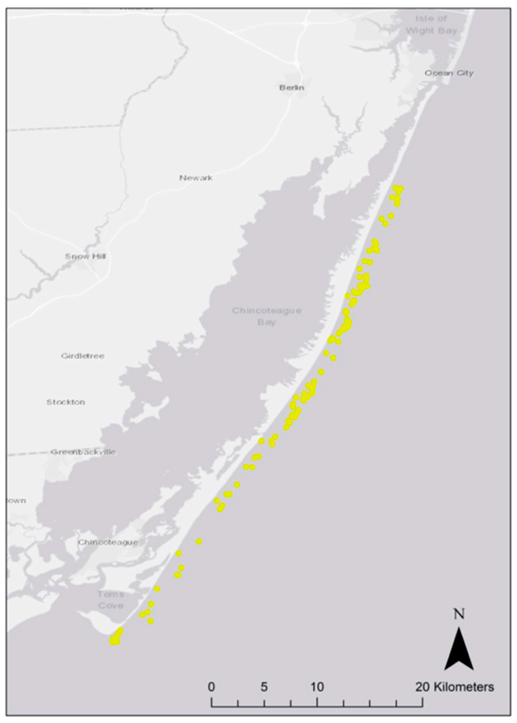 Chincoteague Bay Tide Chart