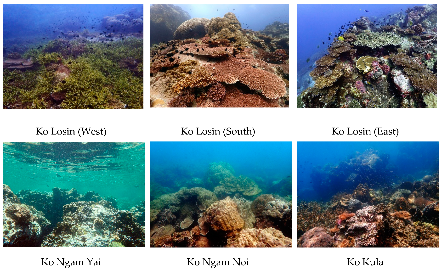 Jmse 07 00408 g008 Jmse 07 00408 g008