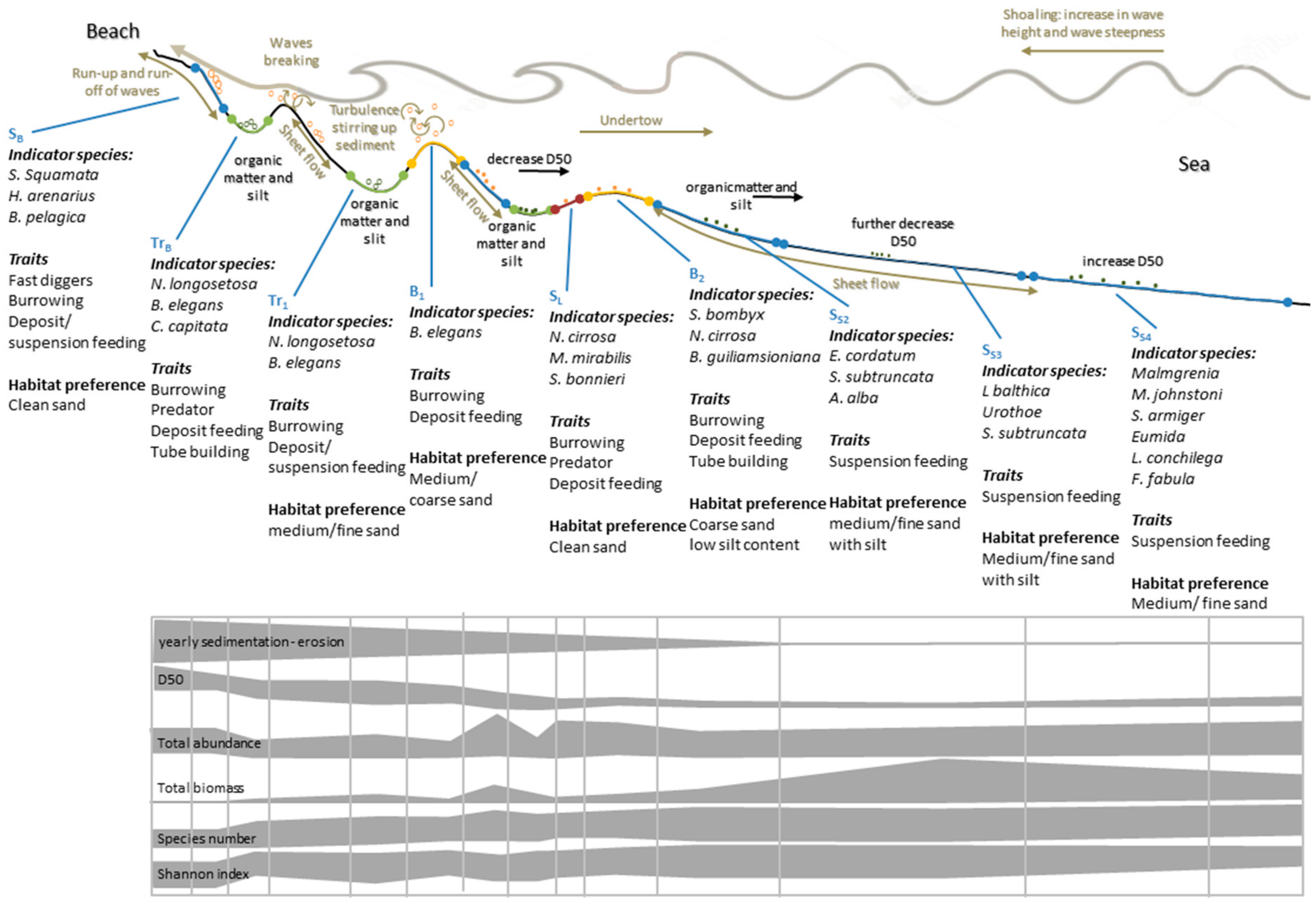 Jmse 08 00016 g009 Jmse 08 00016 g009