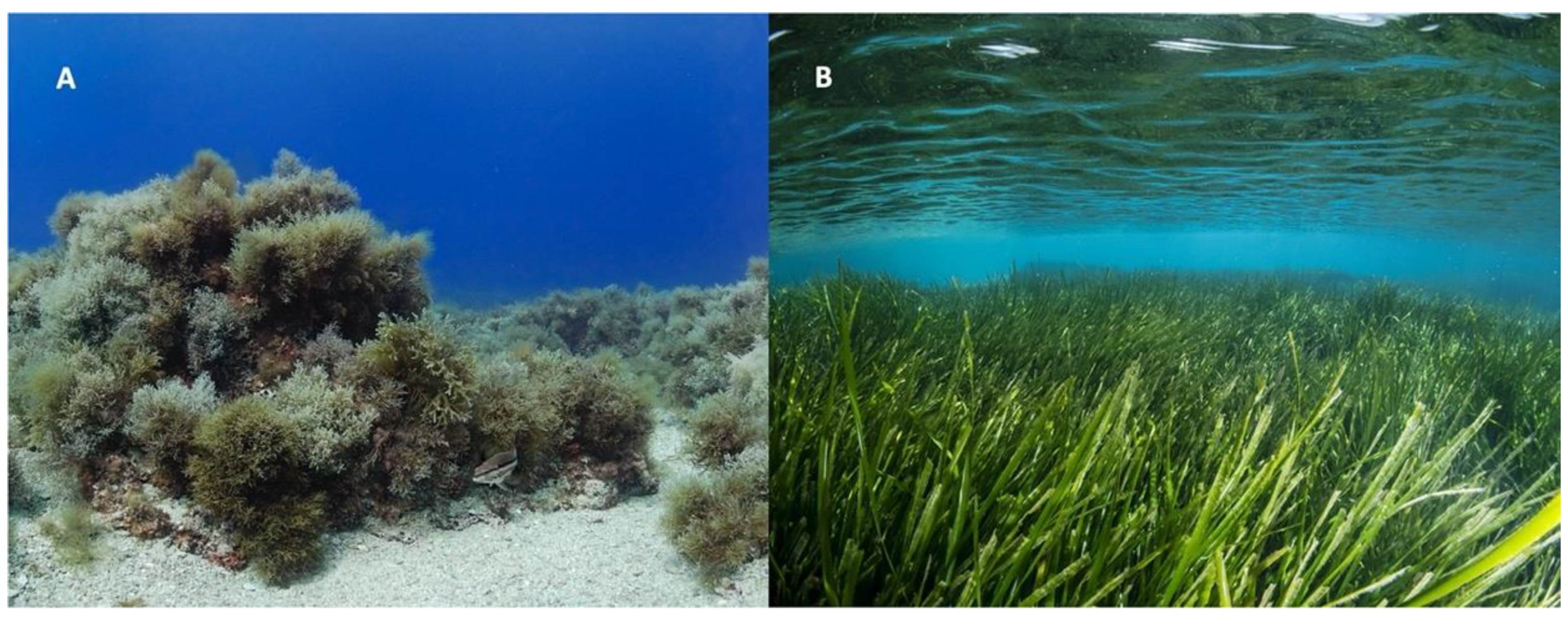 Jmse 08 00019 g001 Jmse 08 00019 g001