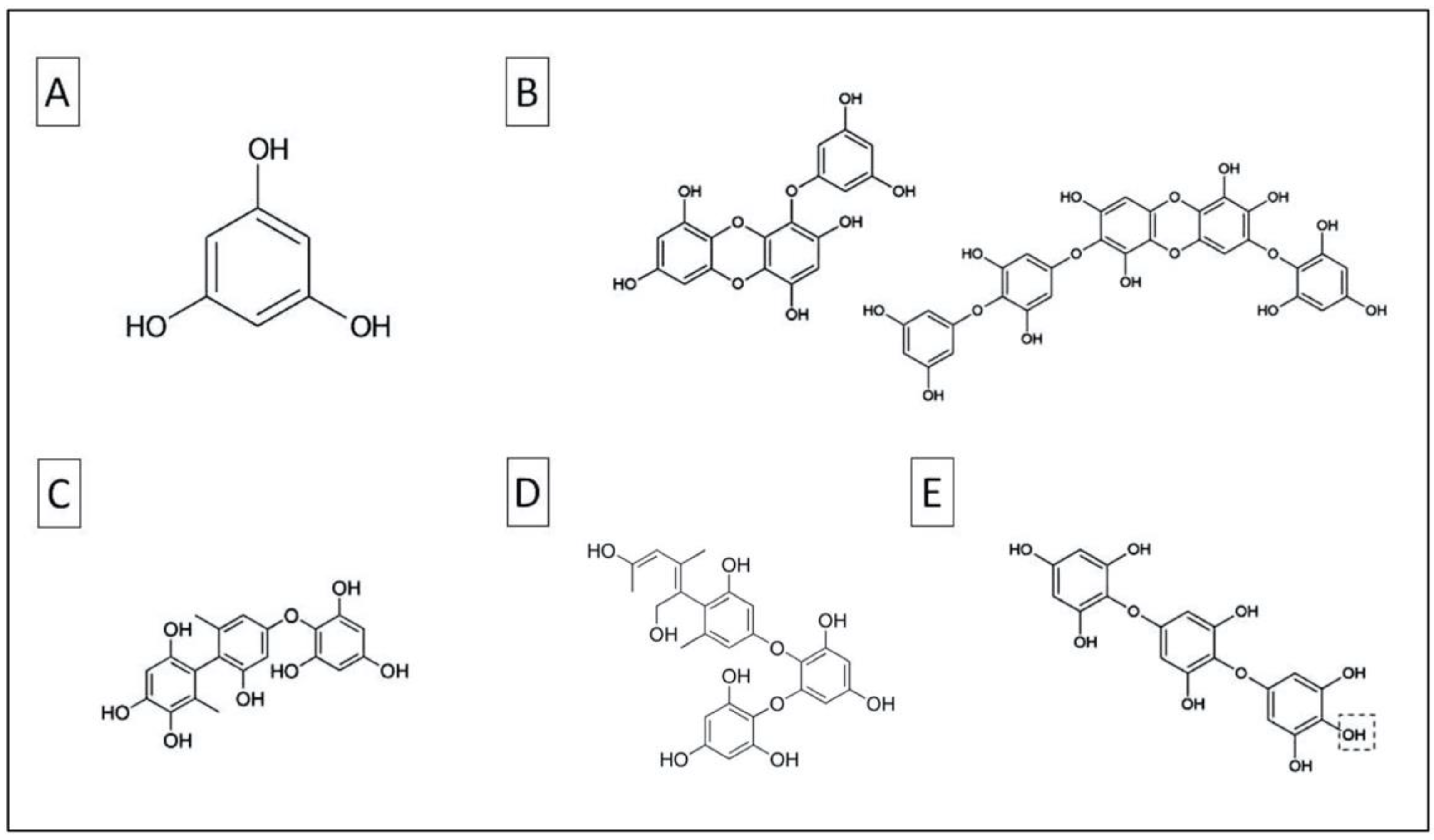 Jmse 08 00019 g002 Jmse 08 00019 g002