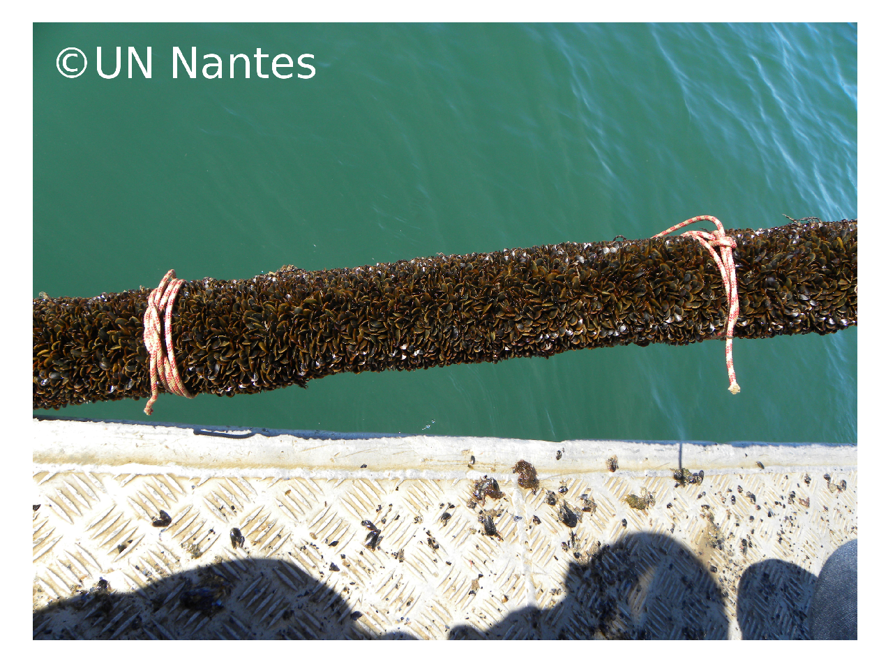 Jmse 08 00108 g002 Jmse 08 00108 g002