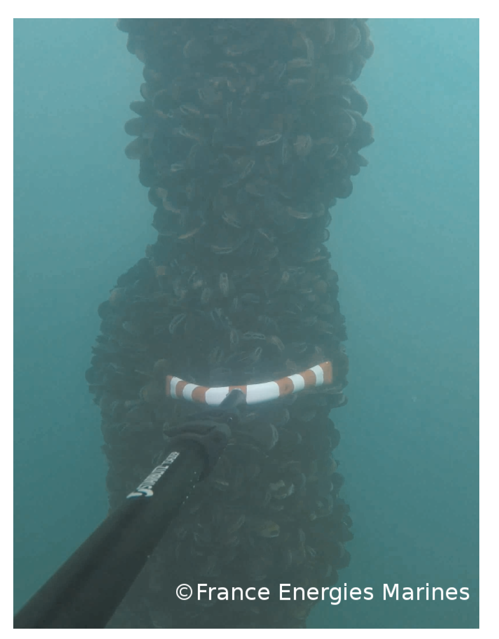 Jmse 08 00108 g004 Jmse 08 00108 g004