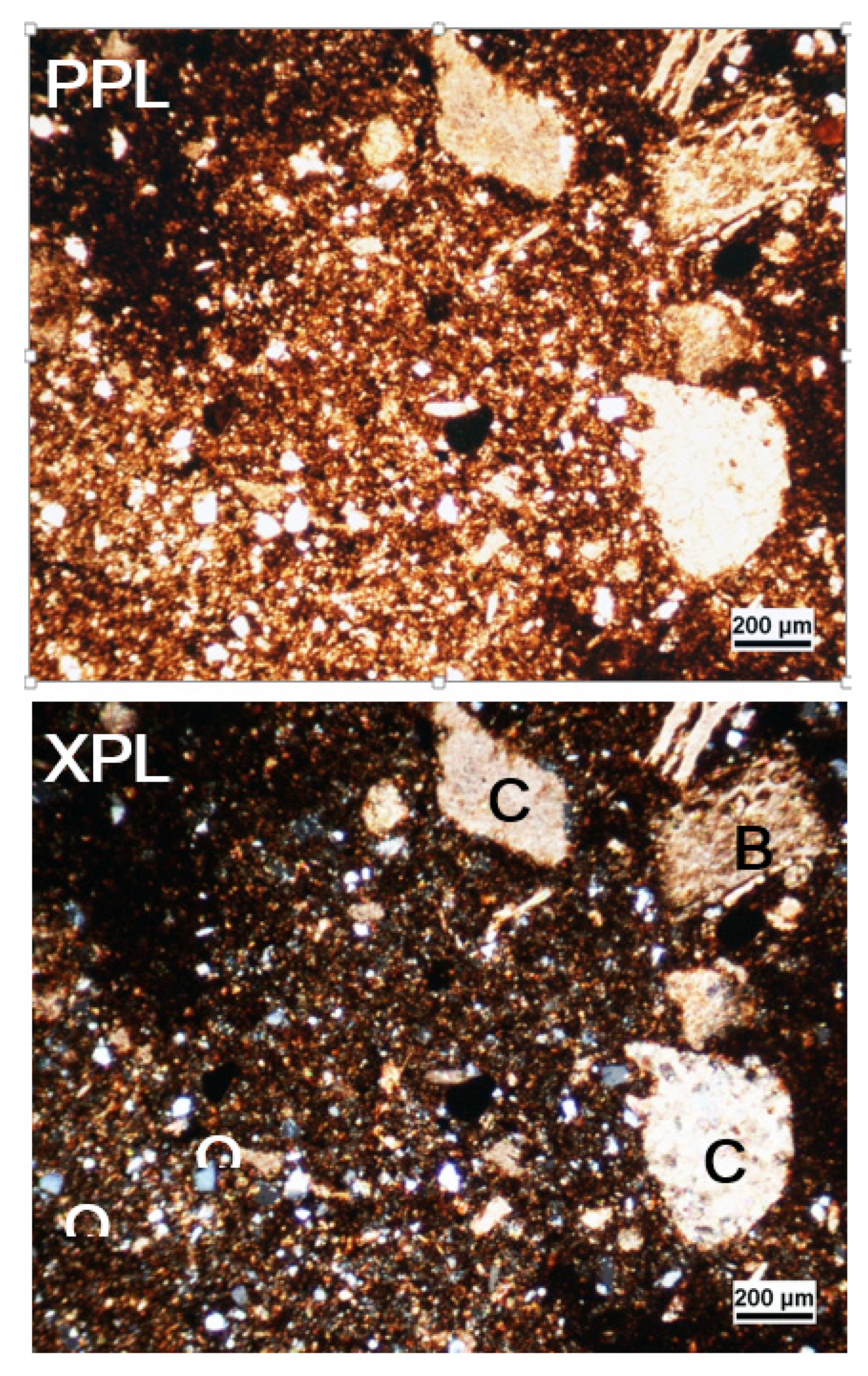 Jmse 08 00136 g002 Jmse 08 00136 g002