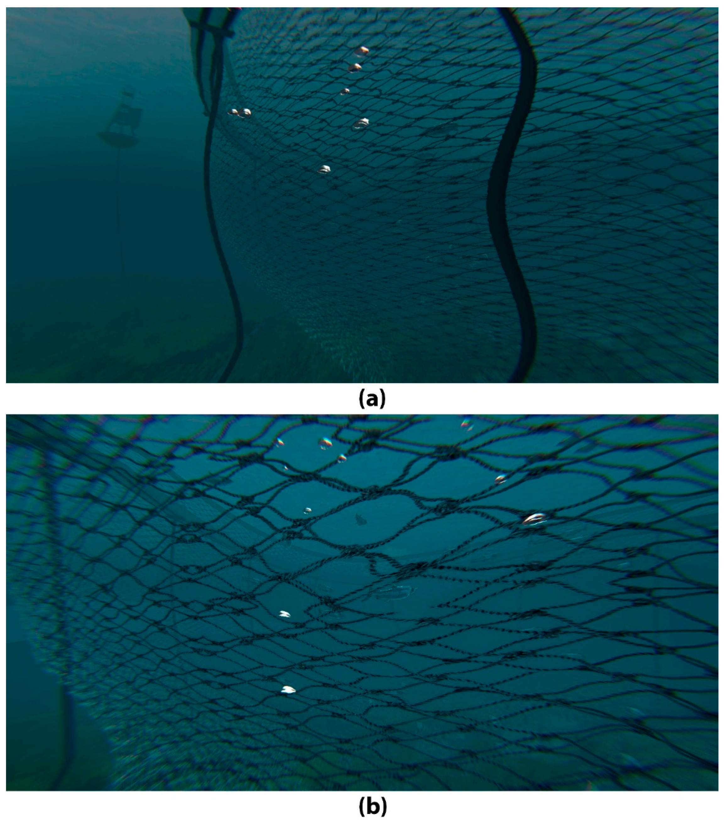 Jmse 08 00328 g003 Jmse 08 00328 g003