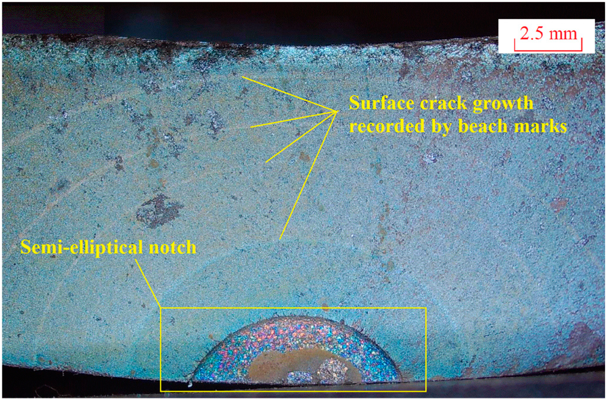 Jmse 08 00339 g002 Jmse 08 00339 g002