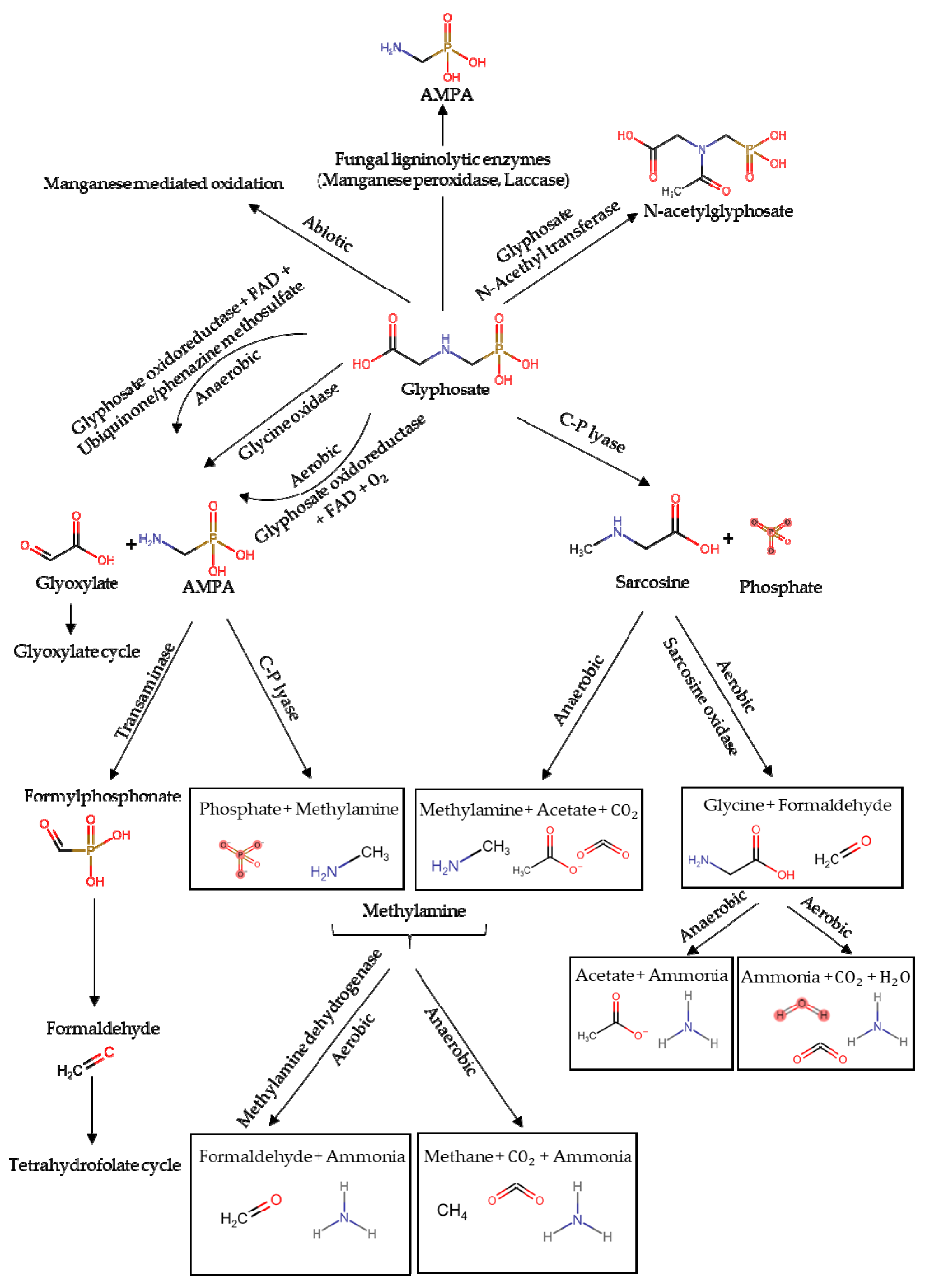Jmse 08 00399 g001 Jmse 08 00399 g001