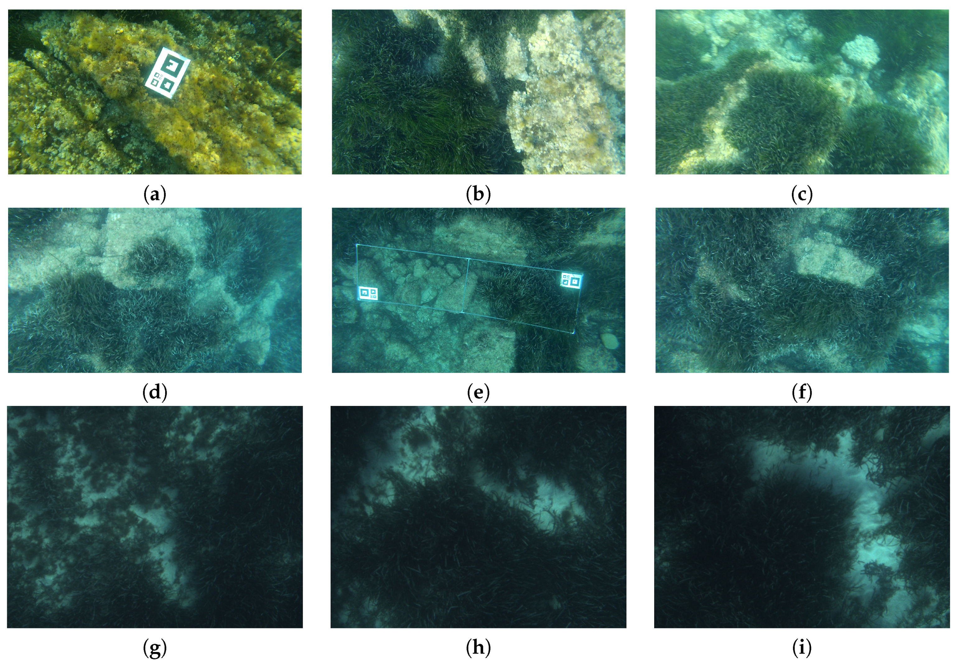 Jmse 08 00437 g004 Jmse 08 00437 g004