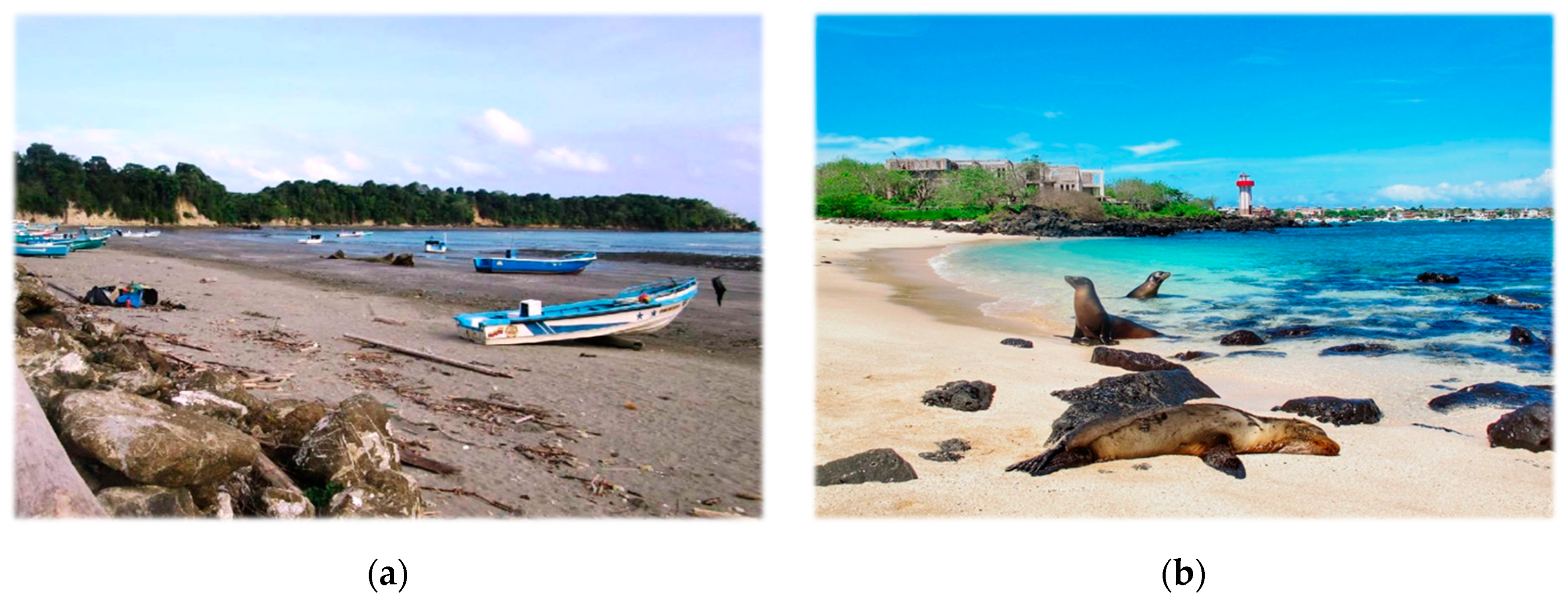 Jmse 08 00468 g008 Jmse 08 00468 g008