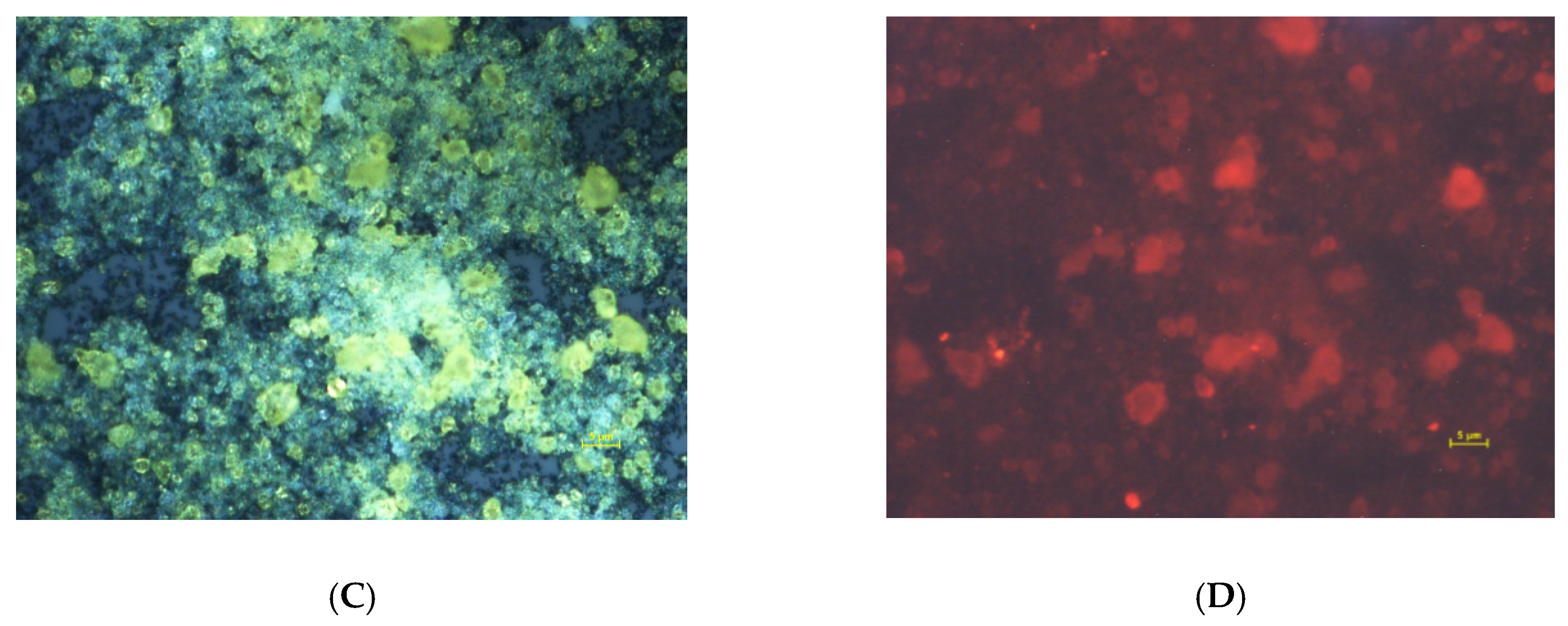 Jmse 08 00483 g005b Jmse 08 00483 g005b