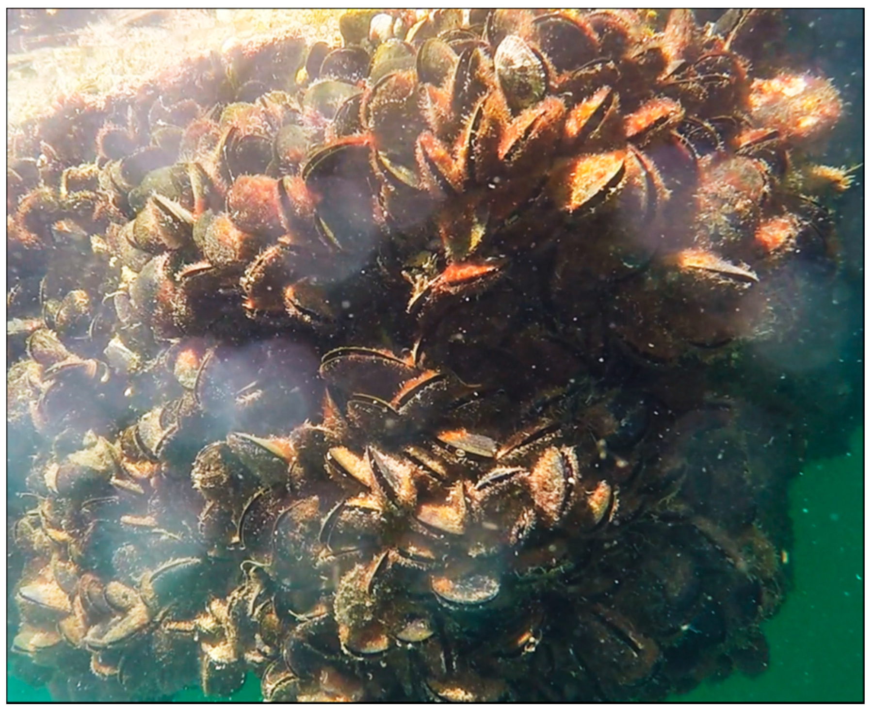 Jmse 08 00495 g004 Jmse 08 00495 g004