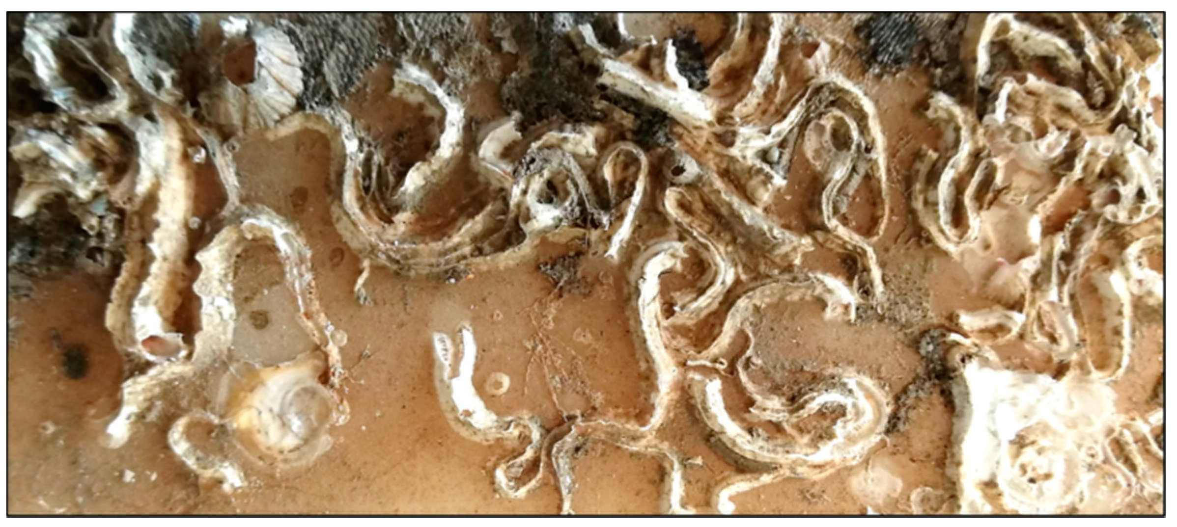 Jmse 08 00495 g006 Jmse 08 00495 g006