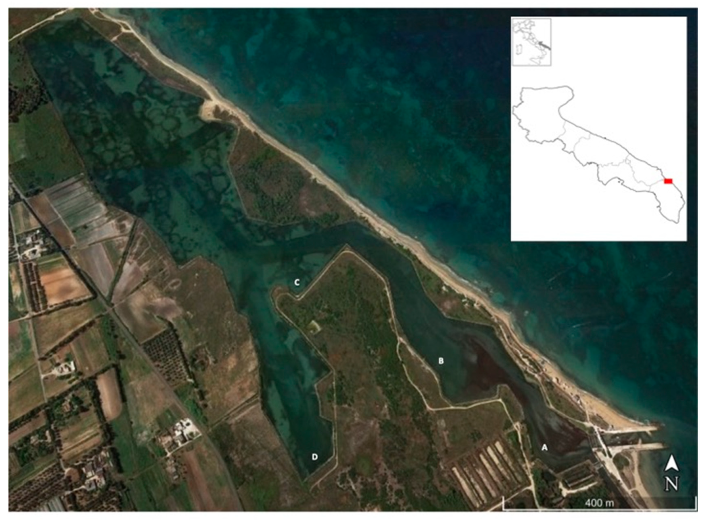 Jmse 08 00538 g001 Jmse 08 00538 g001