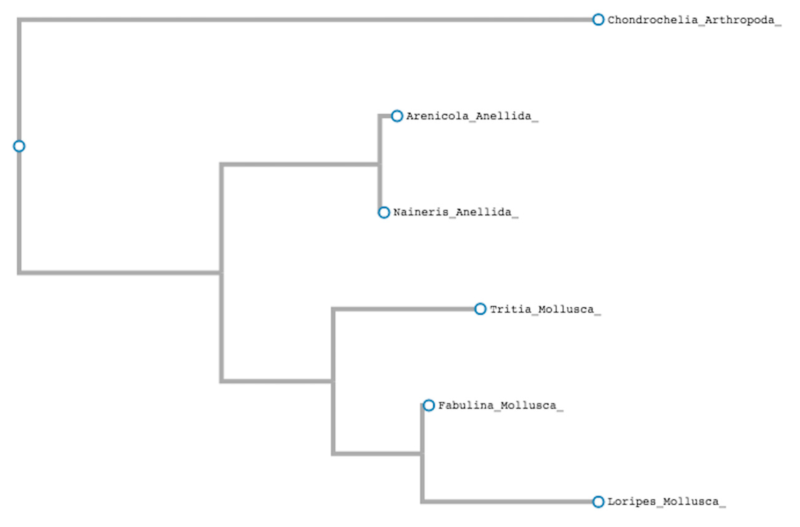 Jmse 08 00538 g002 Jmse 08 00538 g002