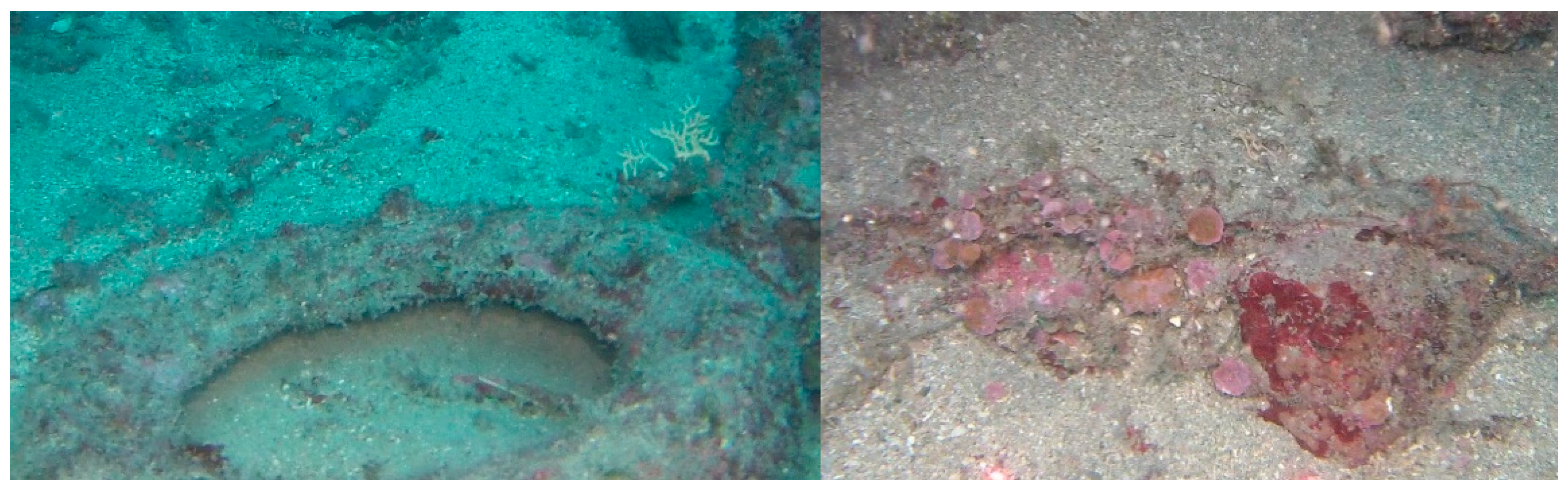 Jmse 08 00656 g007 Jmse 08 00656 g007