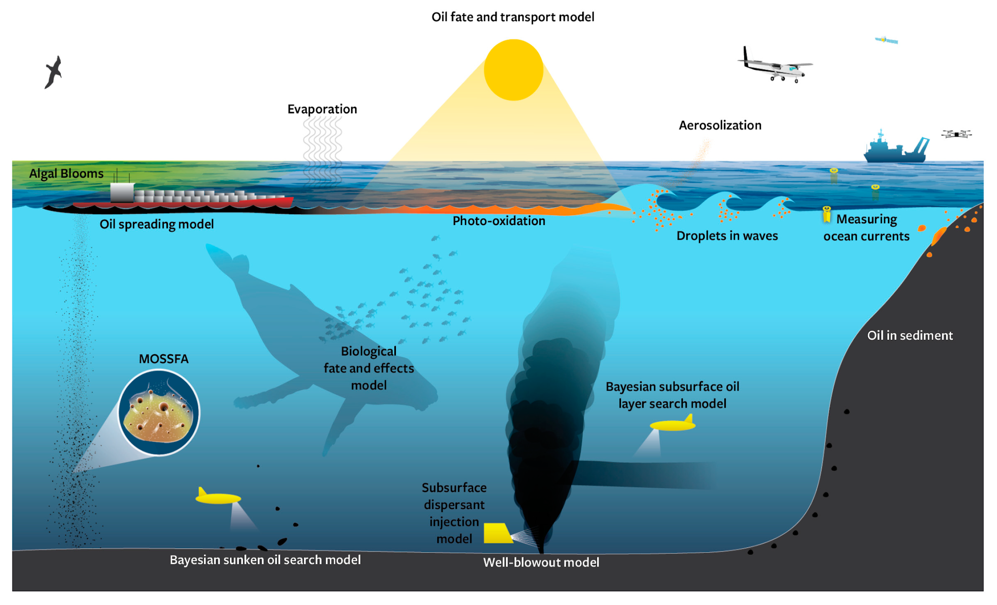 Jmse 08 00668 g007 Jmse 08 00668 g007