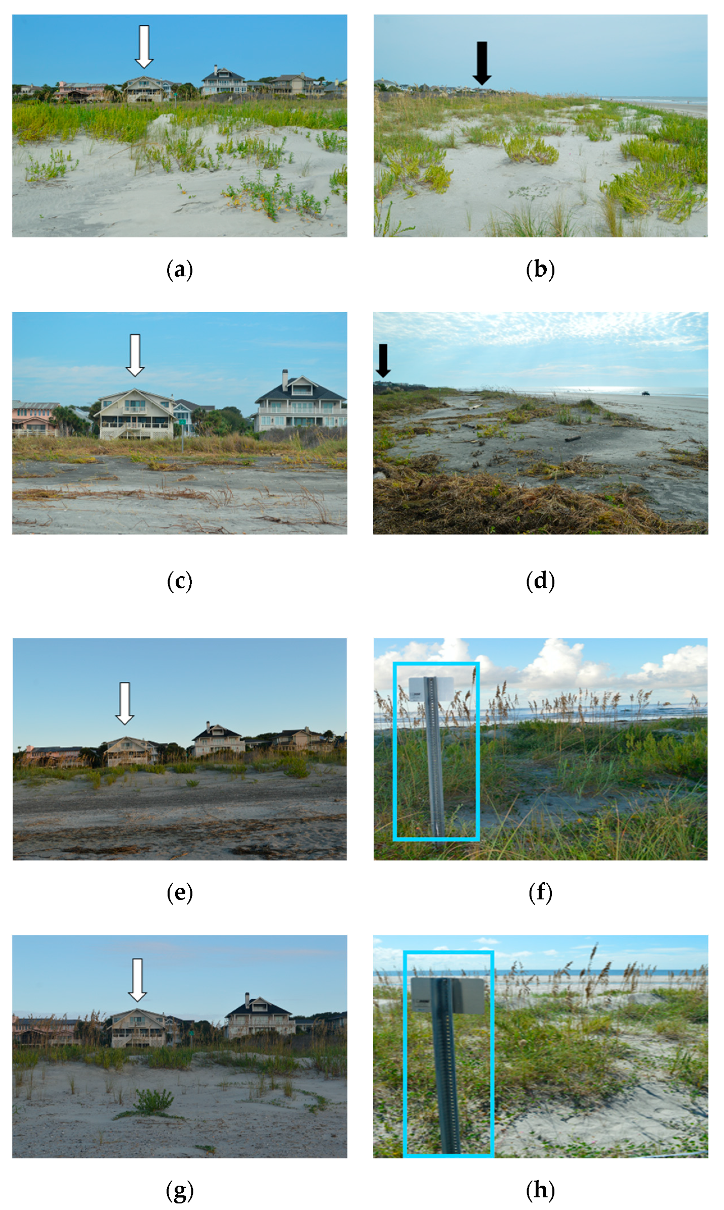 Jmse 08 00670 g007 Jmse 08 00670 g007