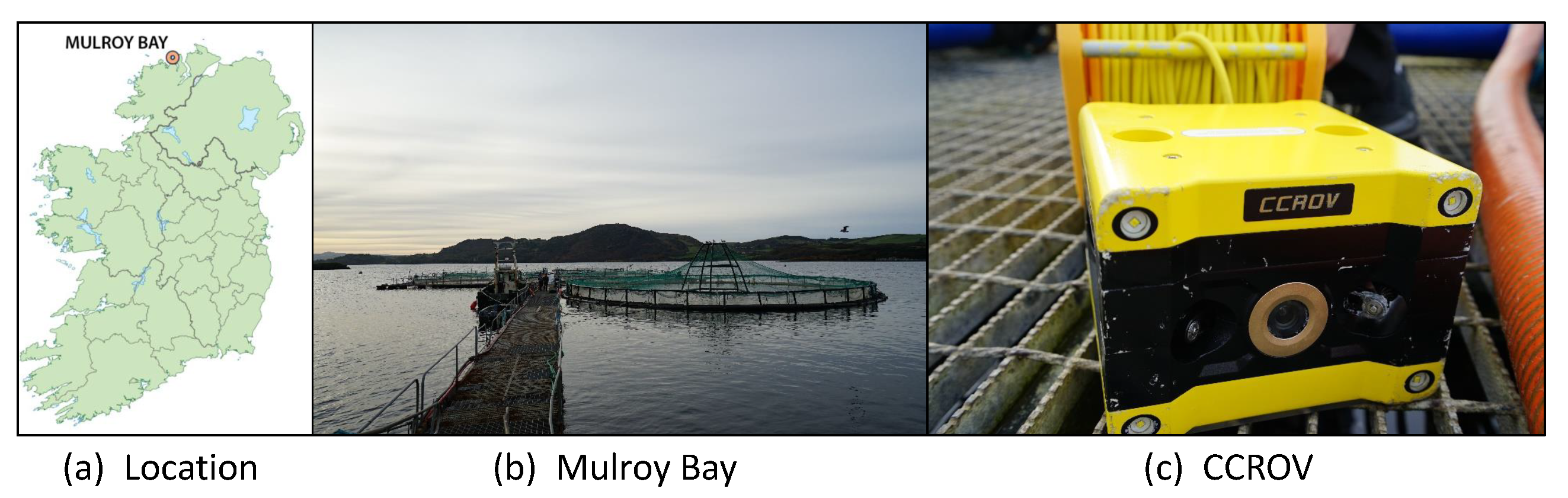 Jmse 08 00707 g007 Jmse 08 00707 g007