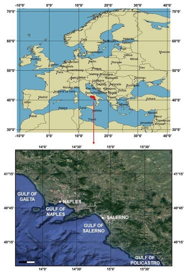 Immagini Natale 400 X 150 Pixel.Jmse Free Full Text The Importance Of The Coordinate Transformation Process In Using Heterogeneous Data In Coastal And Marine Geographic Information System Html