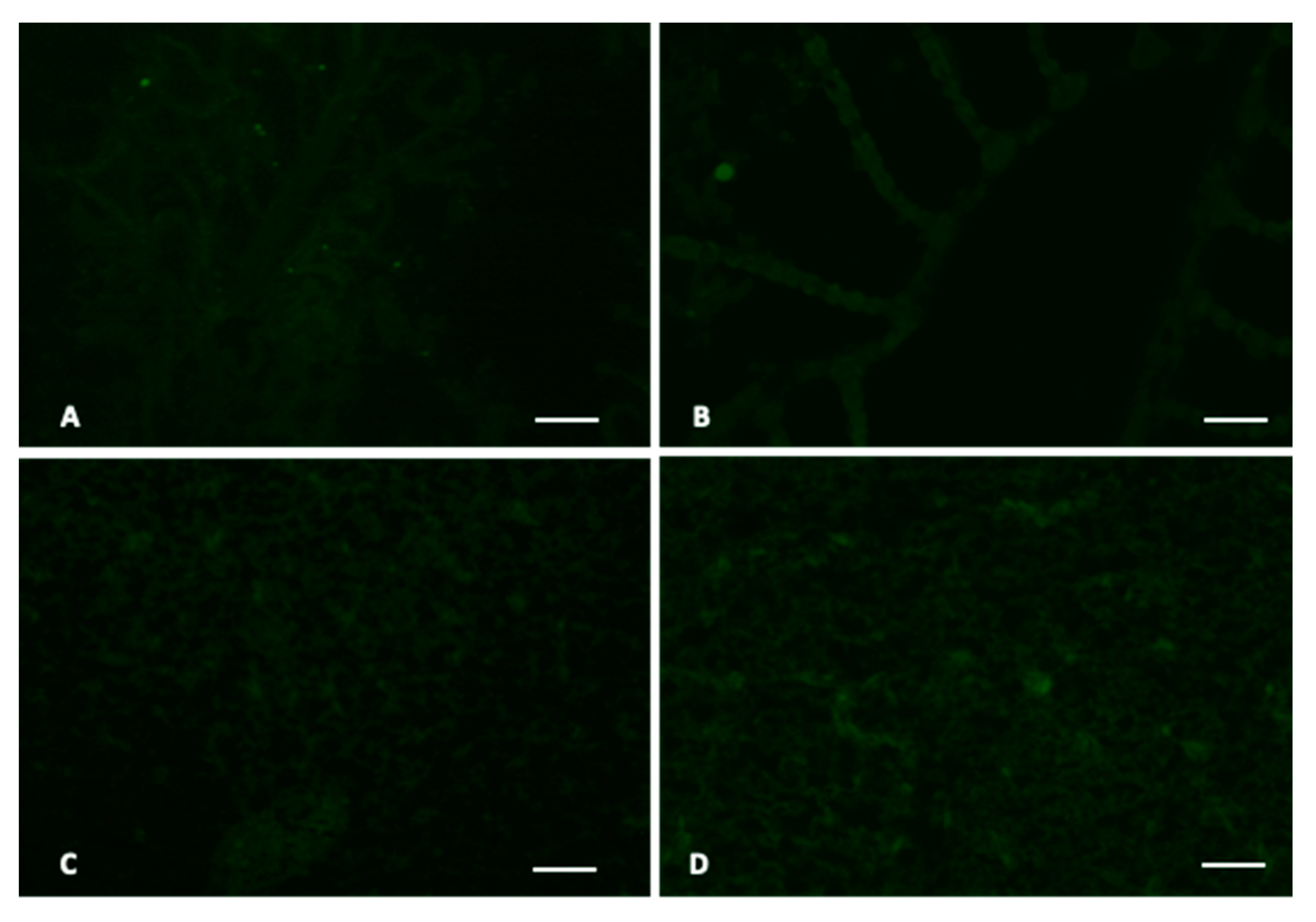 Jmse 08 00712 g005 Jmse 08 00712 g005