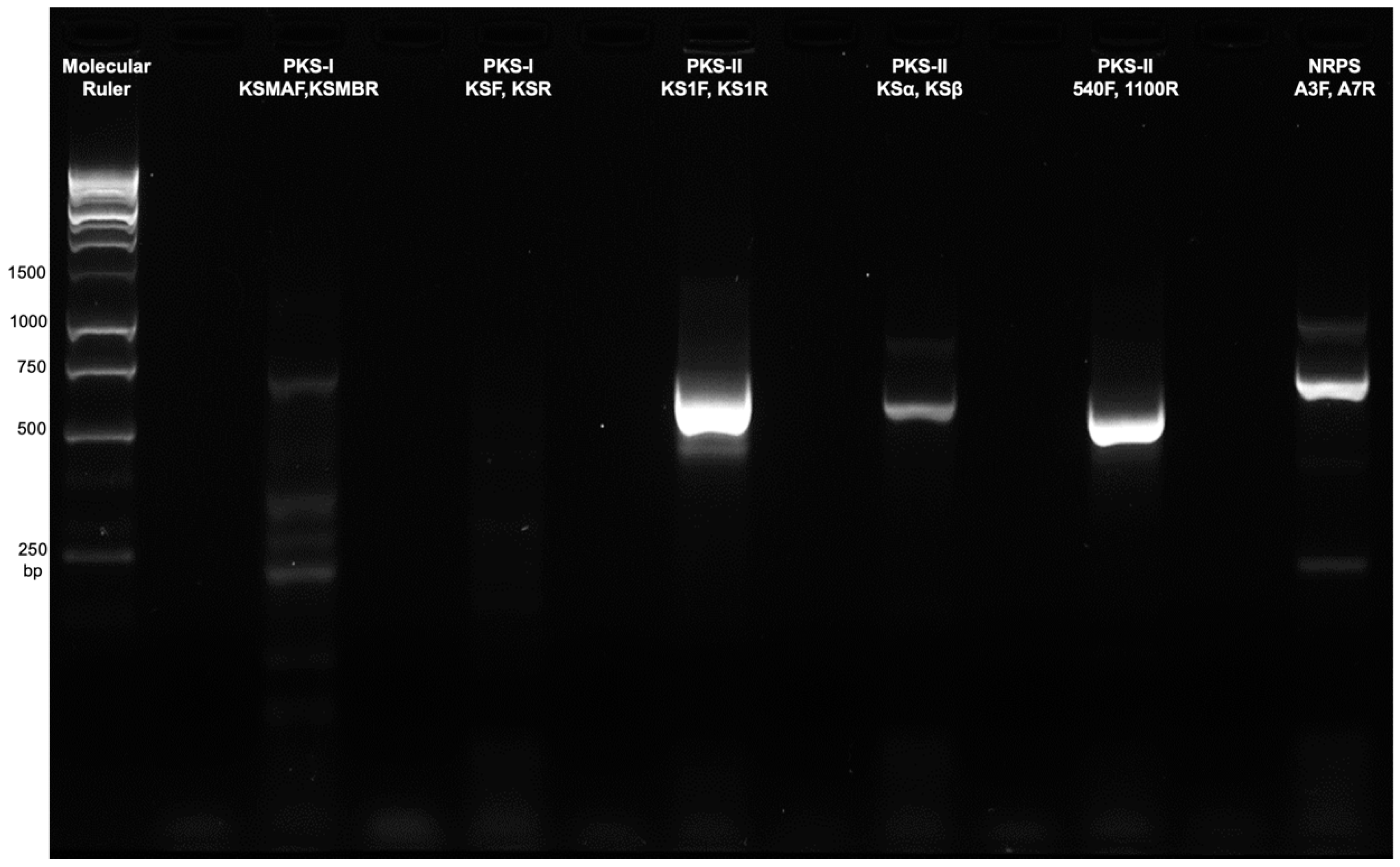 Jmse 08 00734 g004 Jmse 08 00734 g004