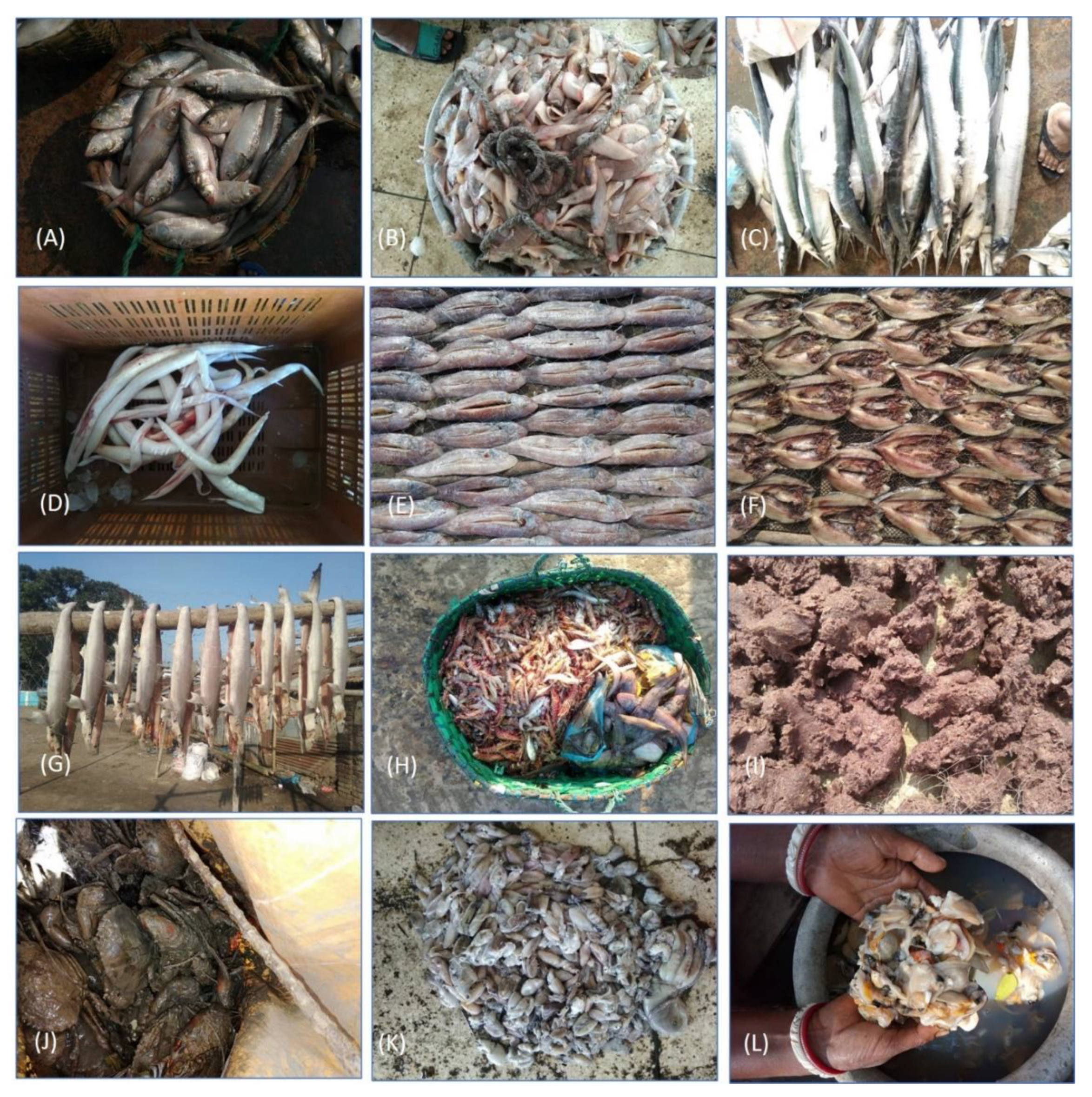 Jmse 08 00815 g003 Jmse 08 00815 g003