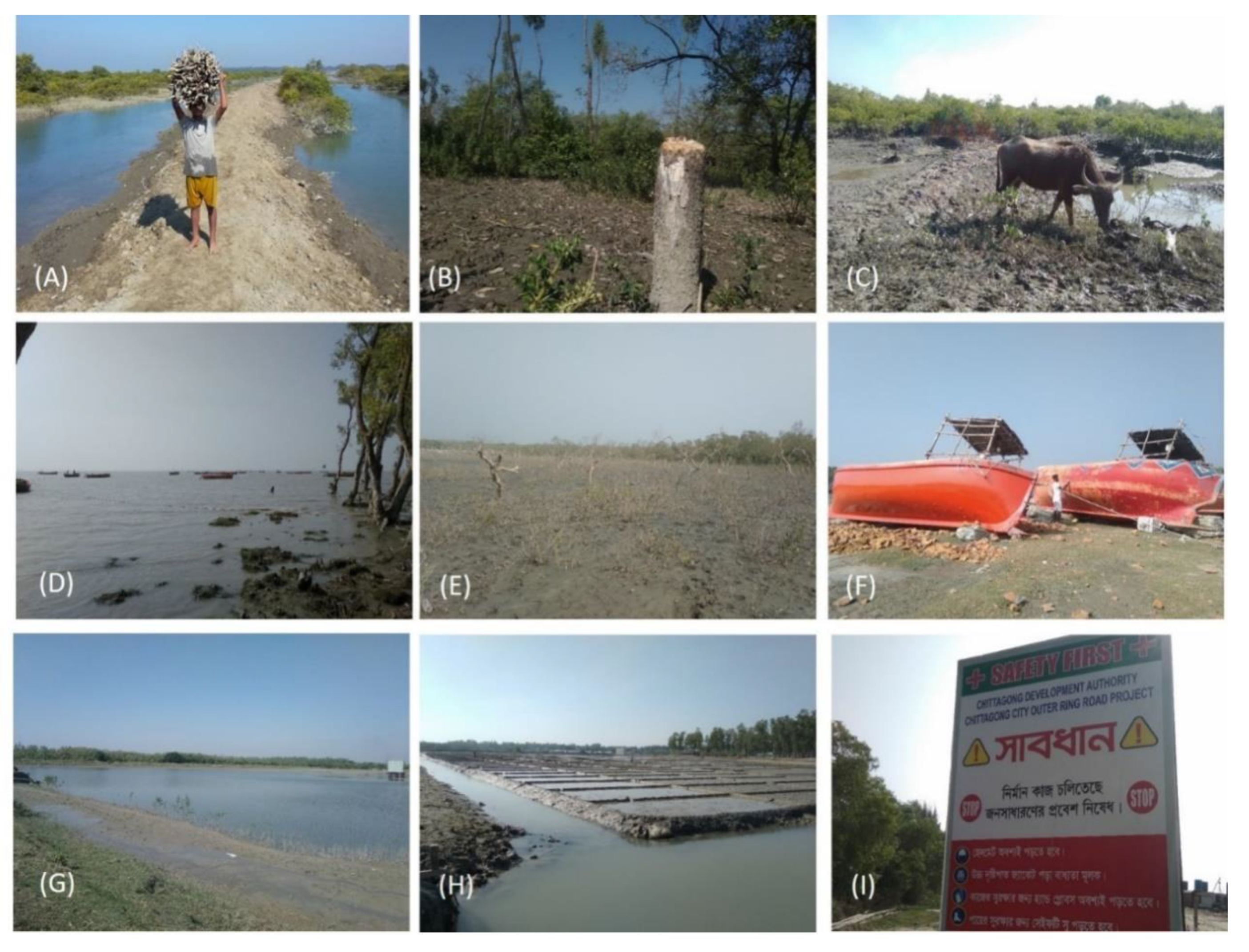 Jmse 08 00815 g006 Jmse 08 00815 g006