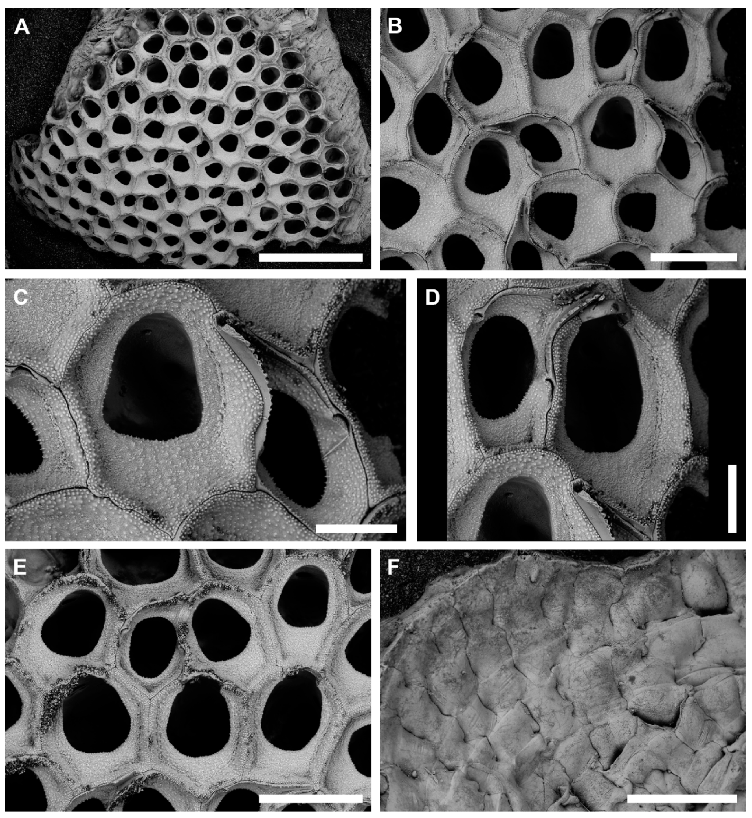 Jmse 08 00904 g002 Jmse 08 00904 g002