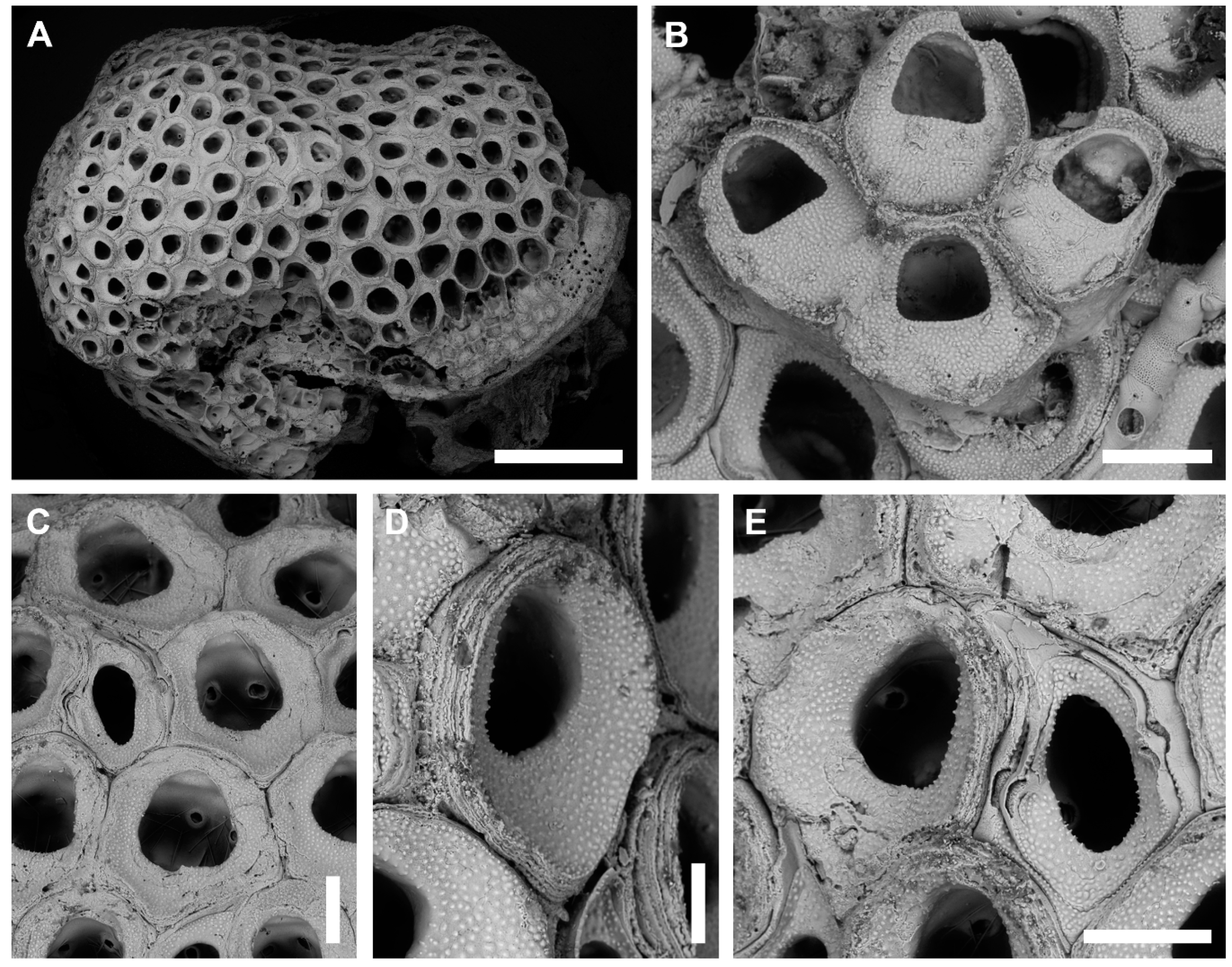 Jmse 08 00904 g003 Jmse 08 00904 g003