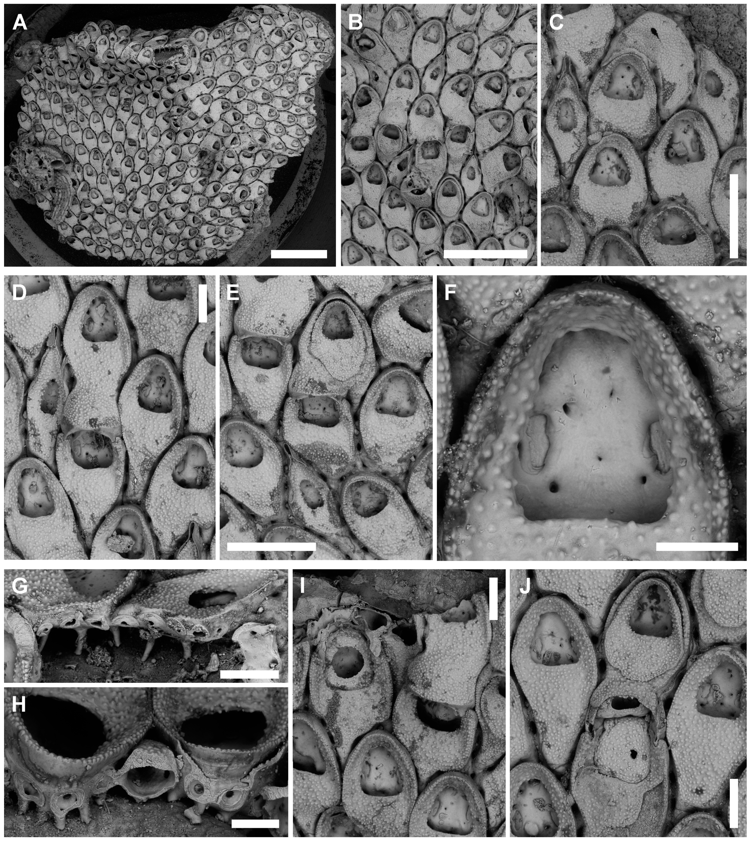 Jmse 08 00904 g008 Jmse 08 00904 g008