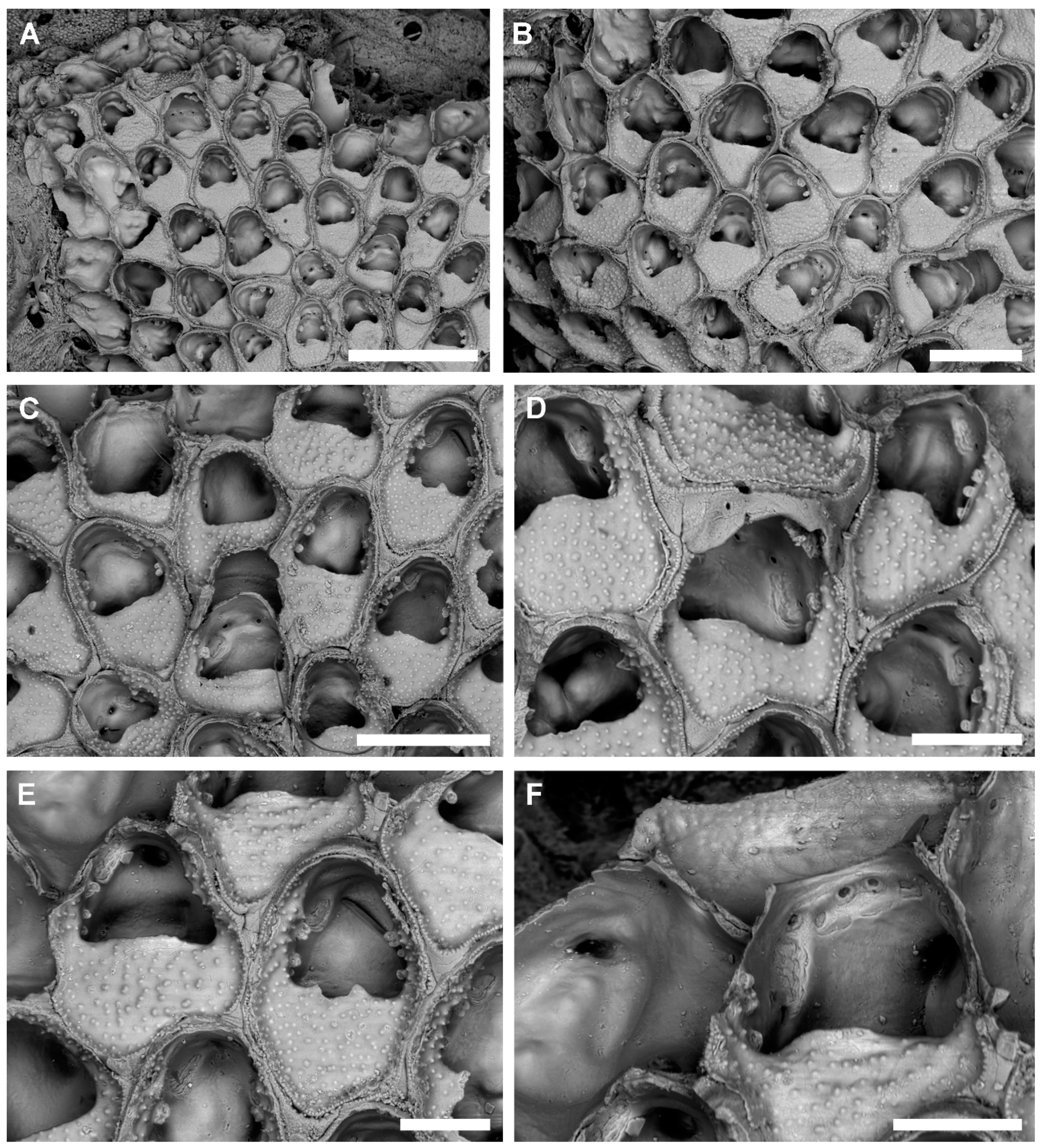 Jmse 08 00904 g010 Jmse 08 00904 g010