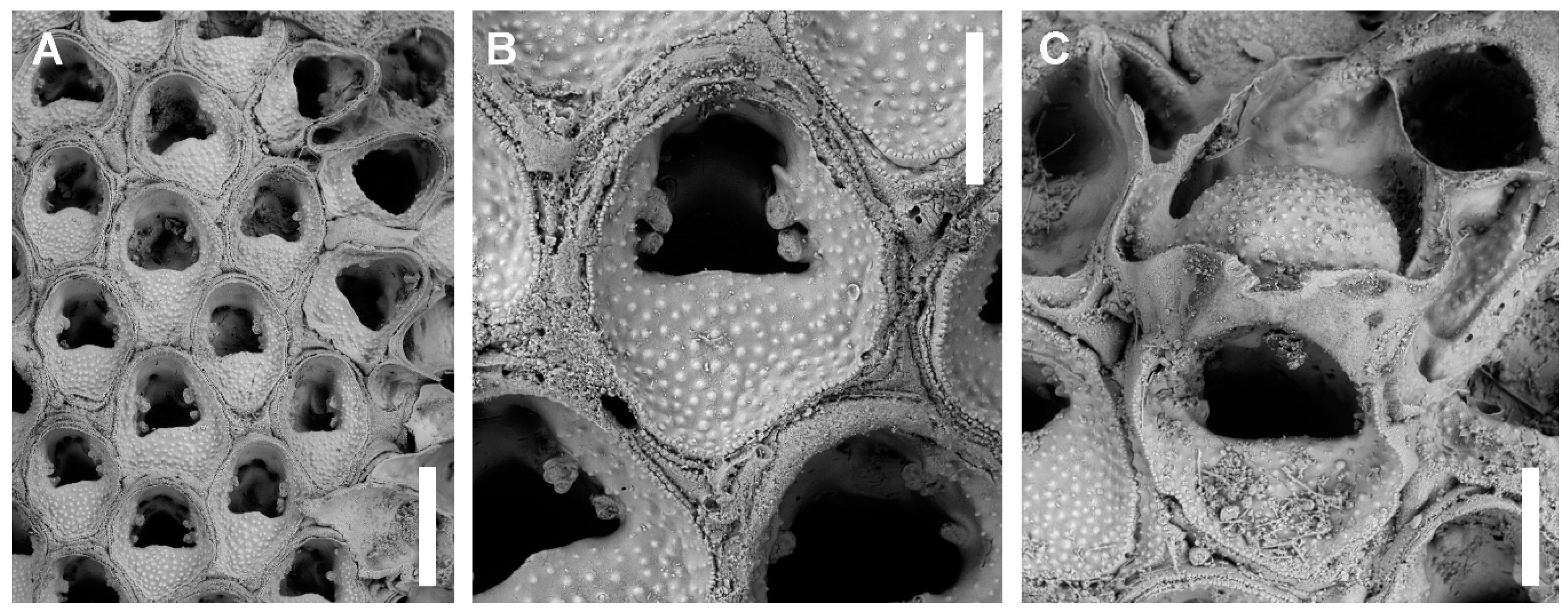 Jmse 08 00904 g011 Jmse 08 00904 g011