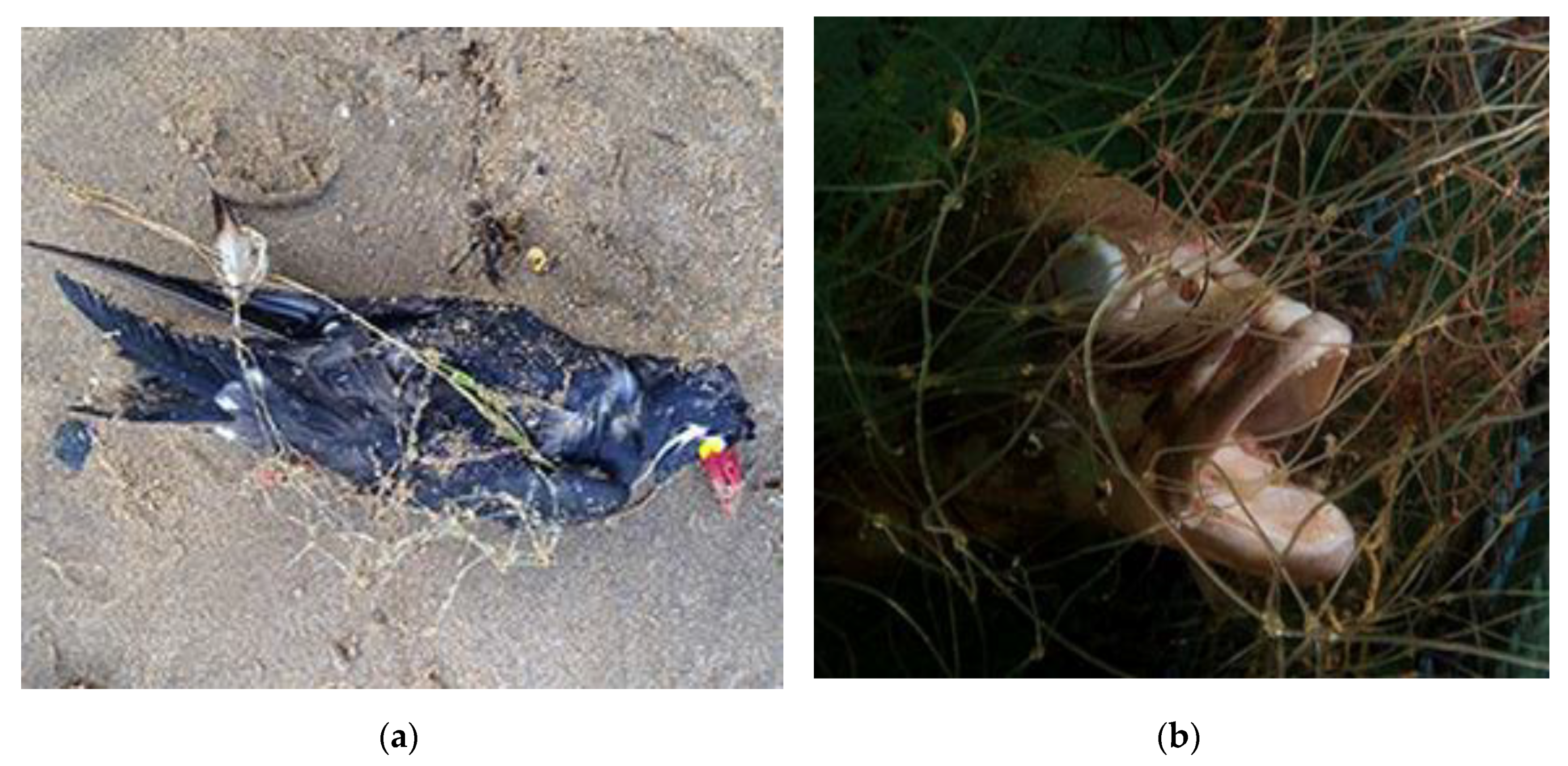 Jmse 08 00908 g003 Jmse 08 00908 g003