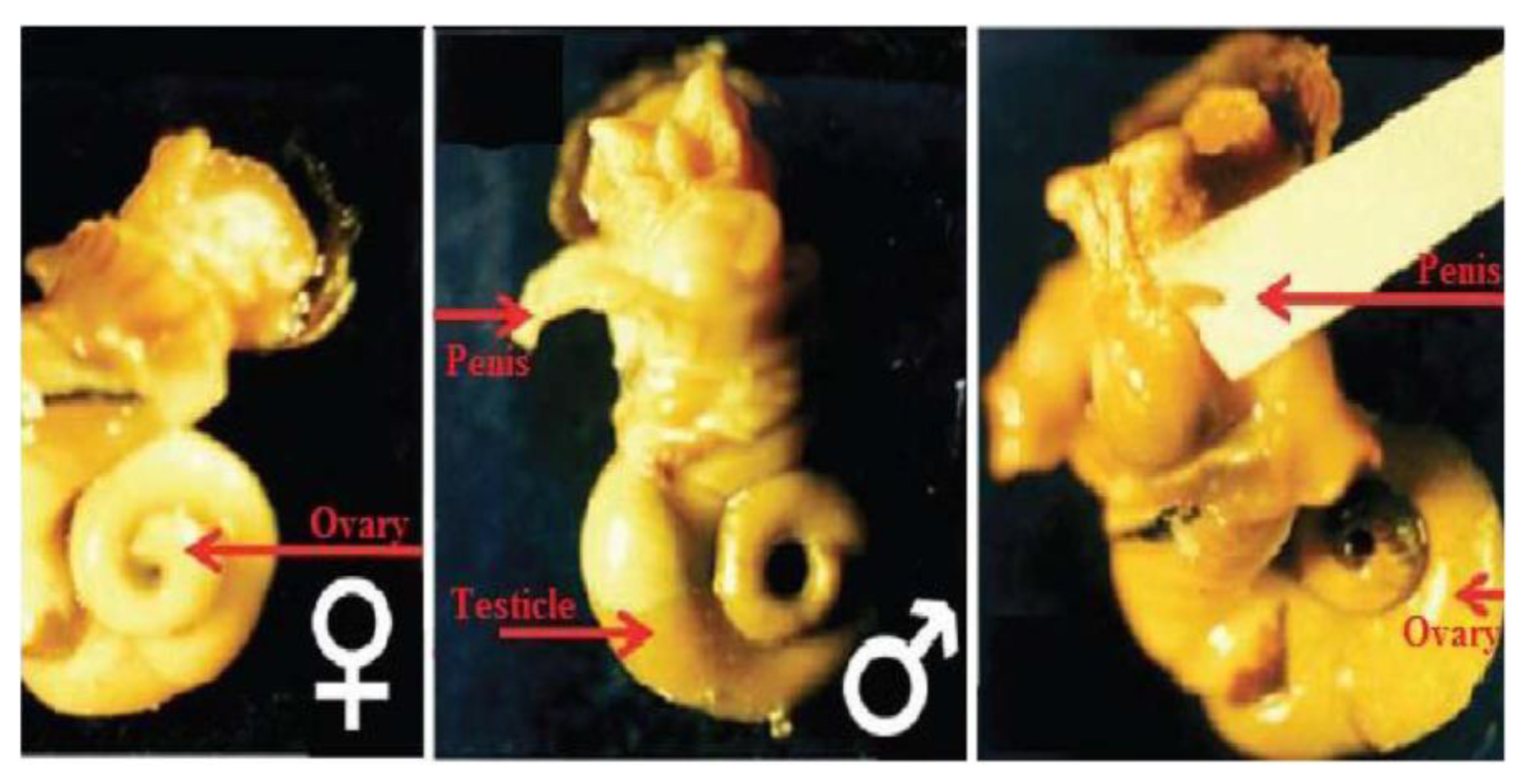 Jmse 08 00908 g004 Jmse 08 00908 g004