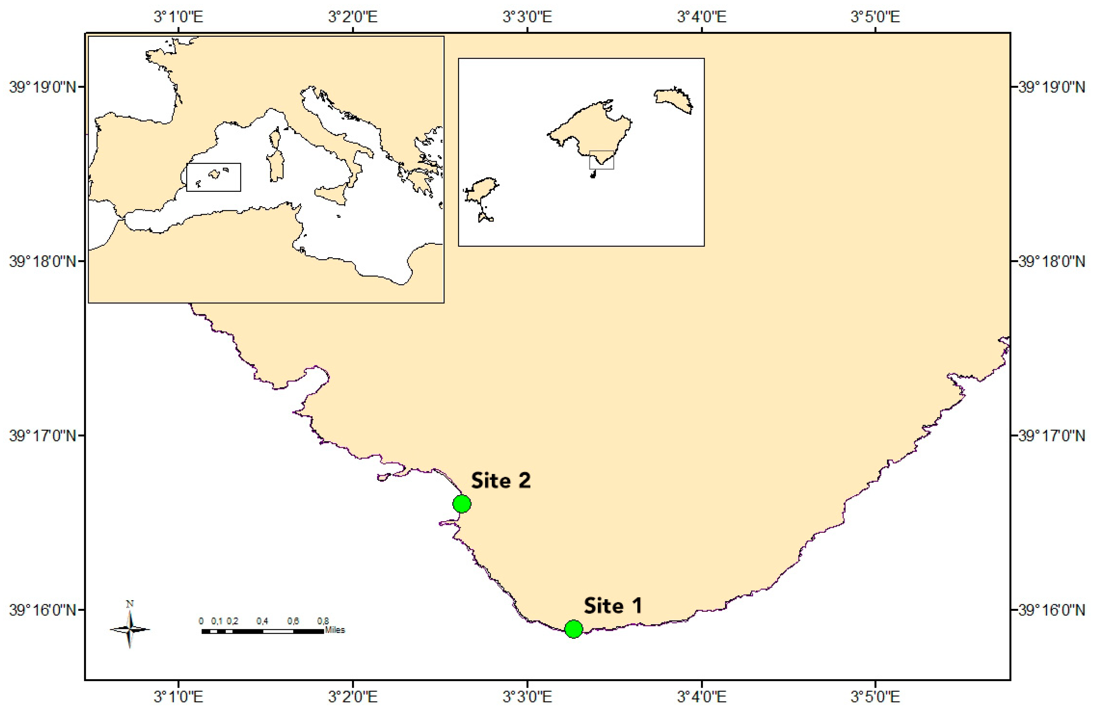 Jmse 08 00911 g001 Jmse 08 00911 g001