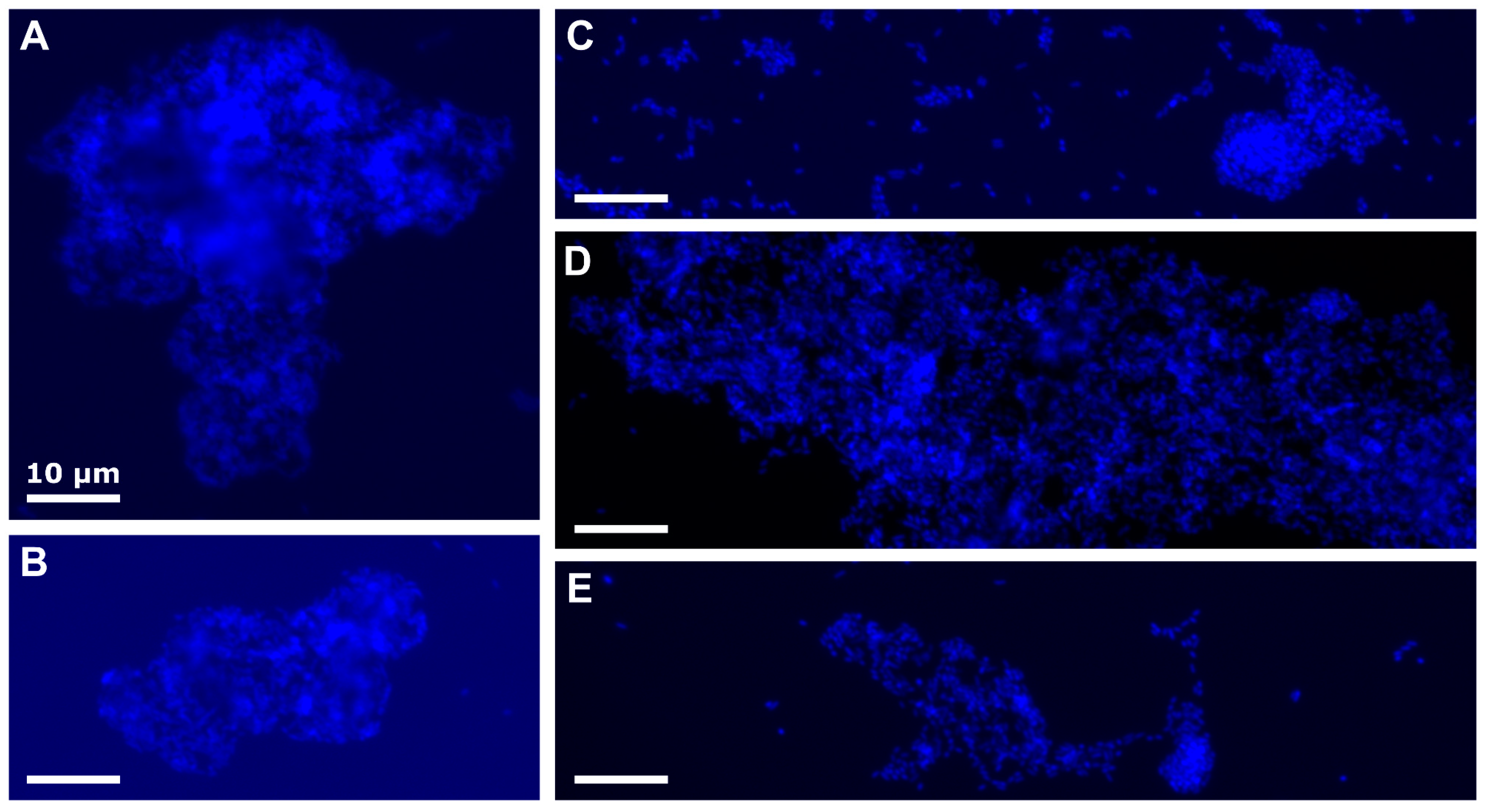 Jmse 08 00925 g002 Jmse 08 00925 g002
