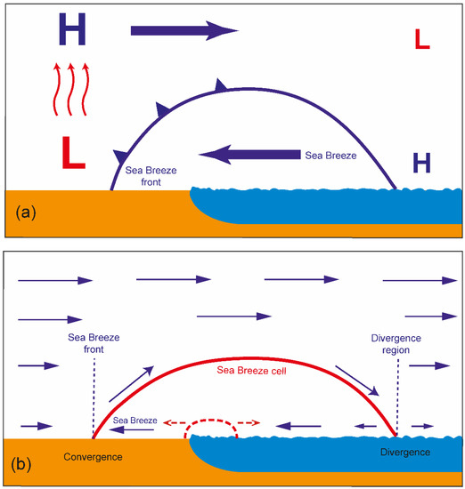 Full article: Different Generating Mechanisms for the Summer Surface Cold  Patches in the Yellow Sea