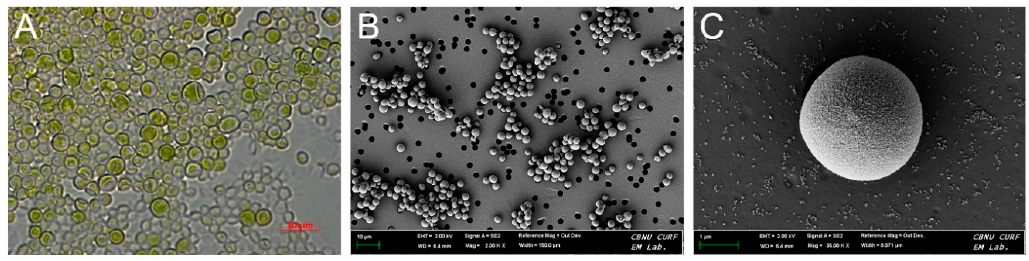 Jmse 08 00935 g001 Jmse 08 00935 g001