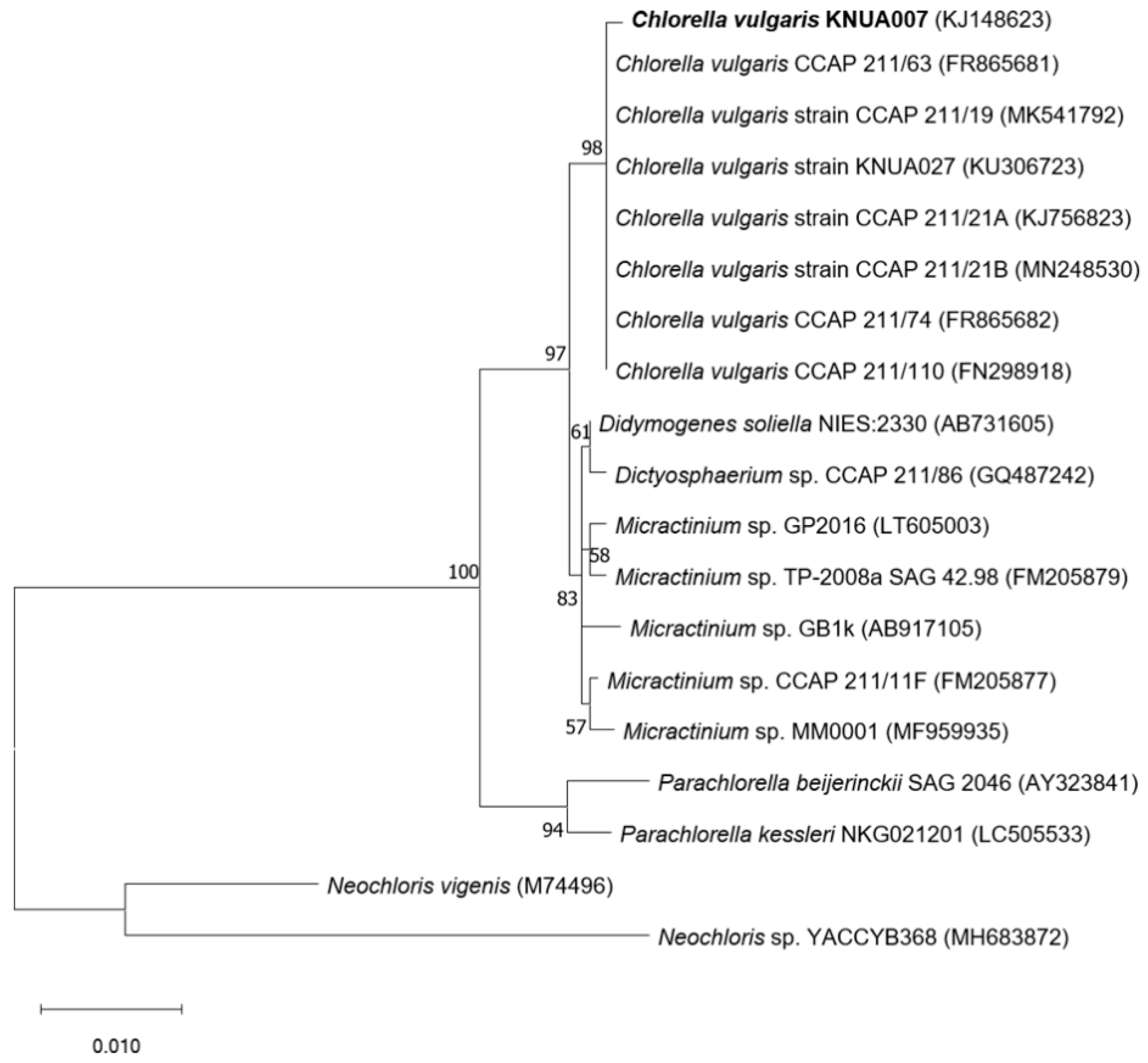 Jmse 08 00935 g002 Jmse 08 00935 g002